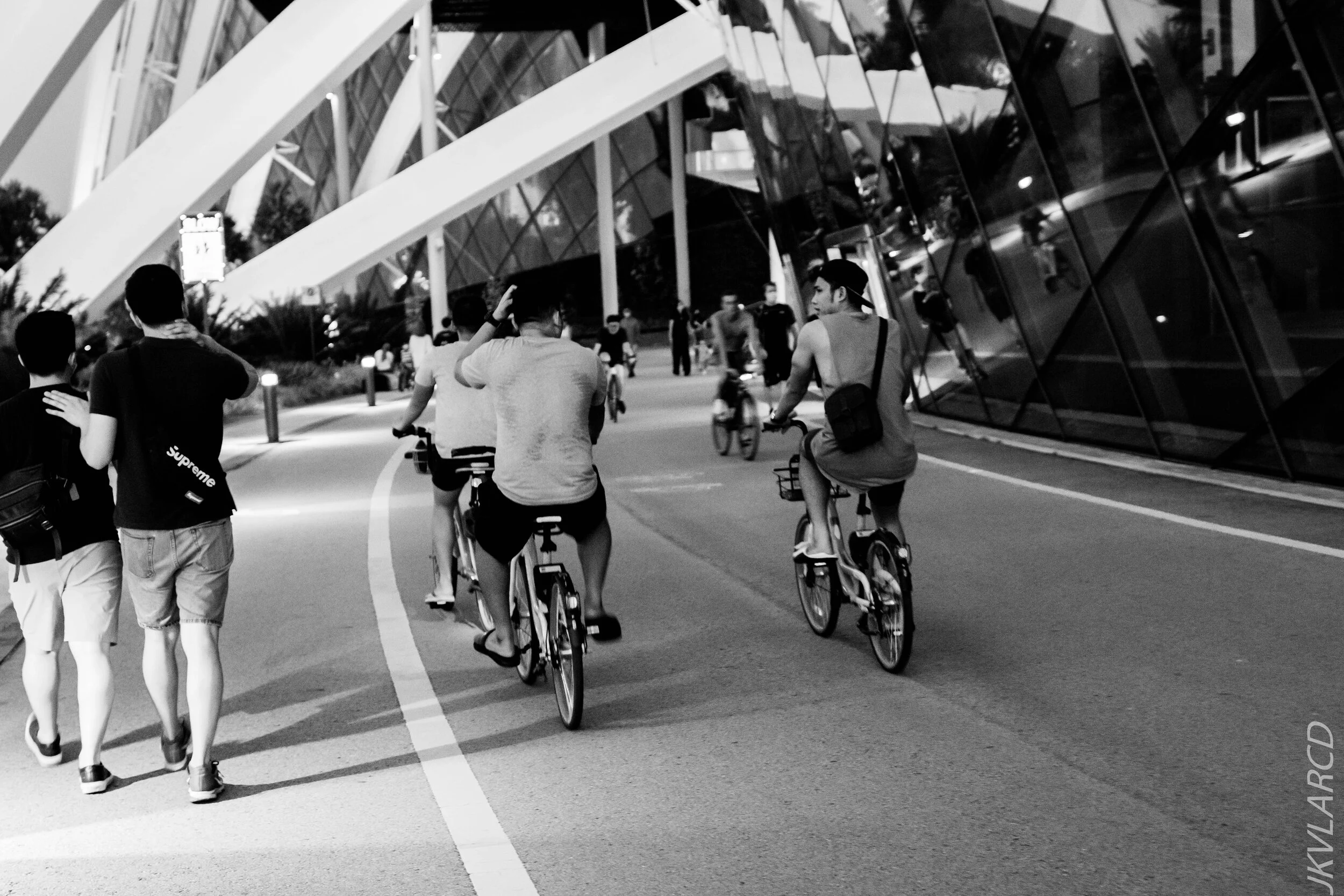 EOS 7D Mark II_2020_08_10_0047.jpg