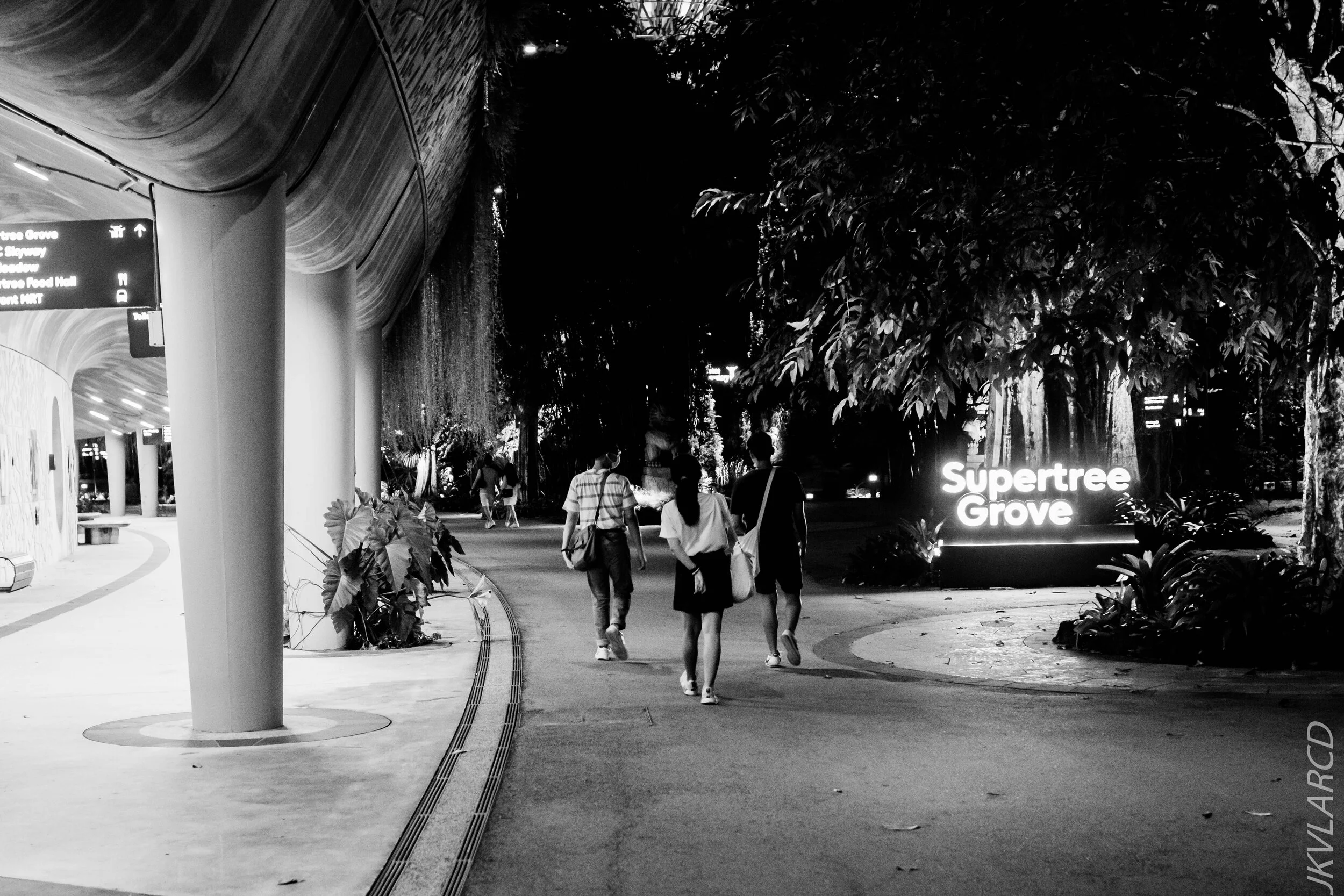 EOS 7D Mark II_2020_08_10_0050.jpg