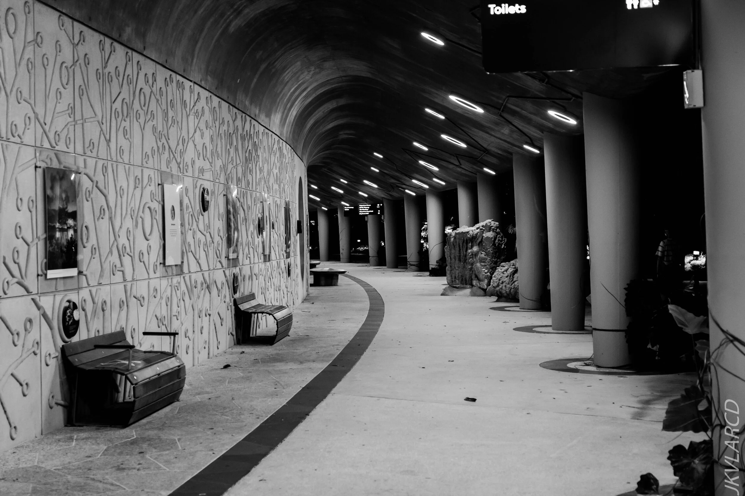 EOS 7D Mark II_2020_08_10_0052.jpg