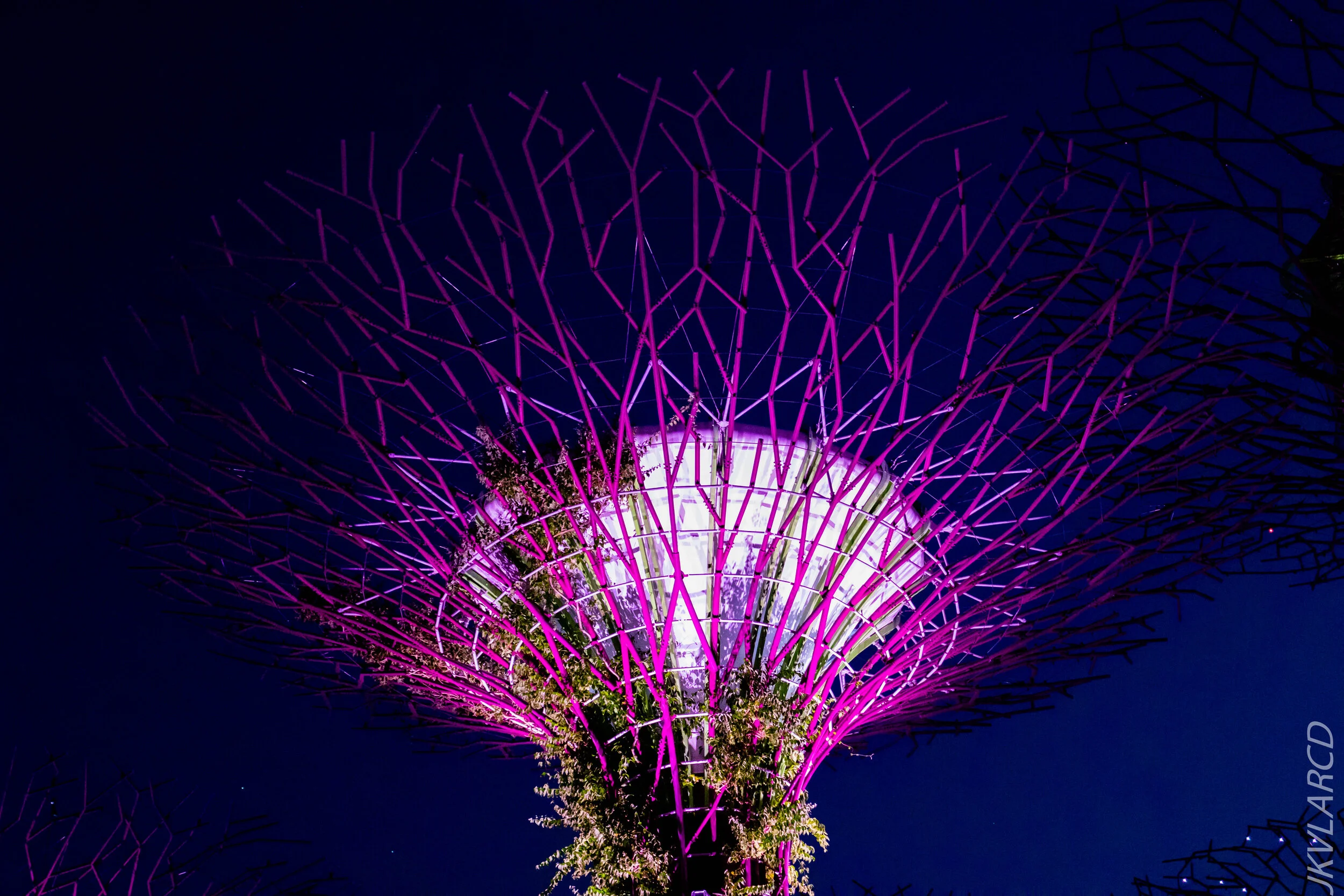 EOS 7D Mark II_2020_08_10_0055.jpg