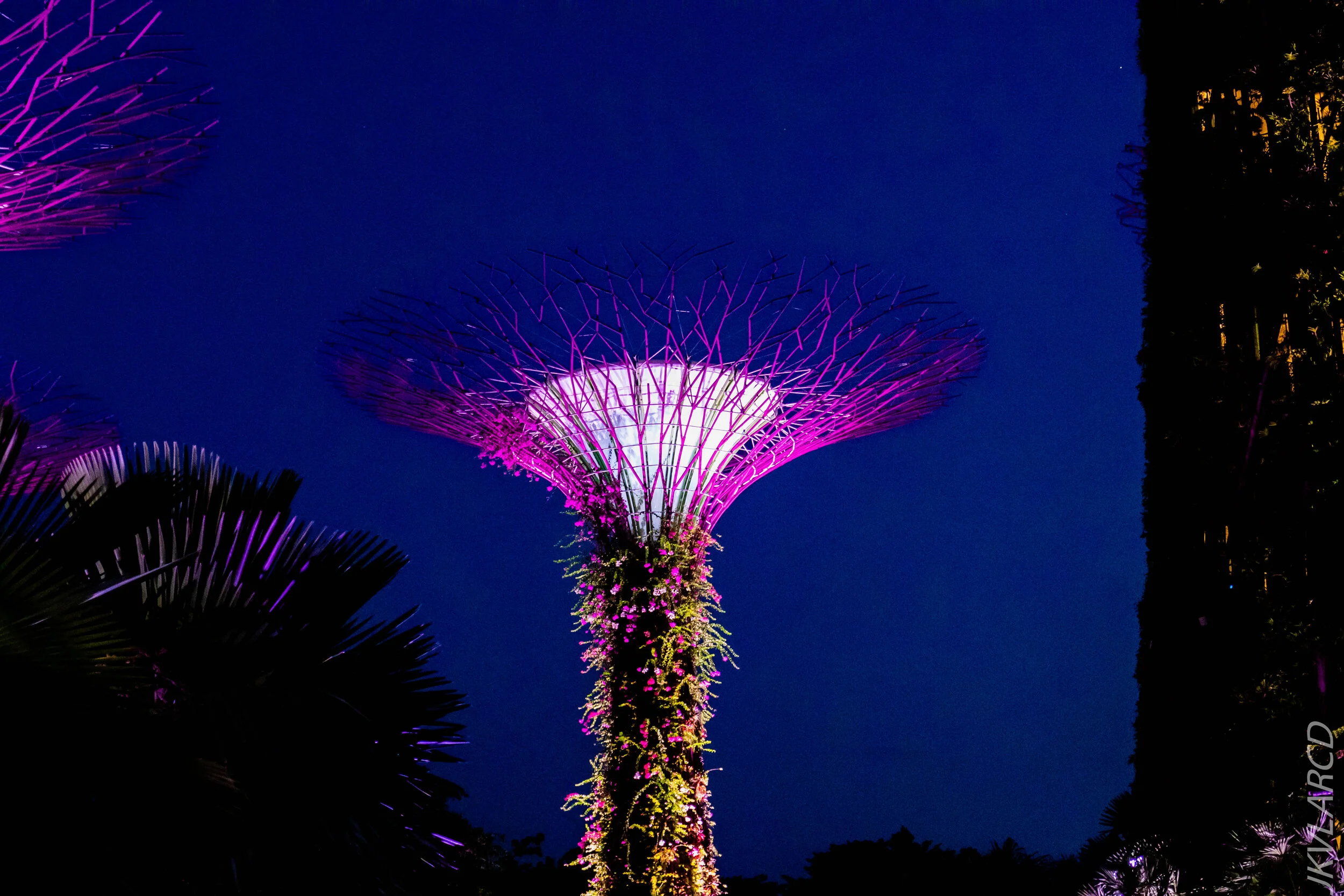 EOS 7D Mark II_2020_08_10_0056.jpg