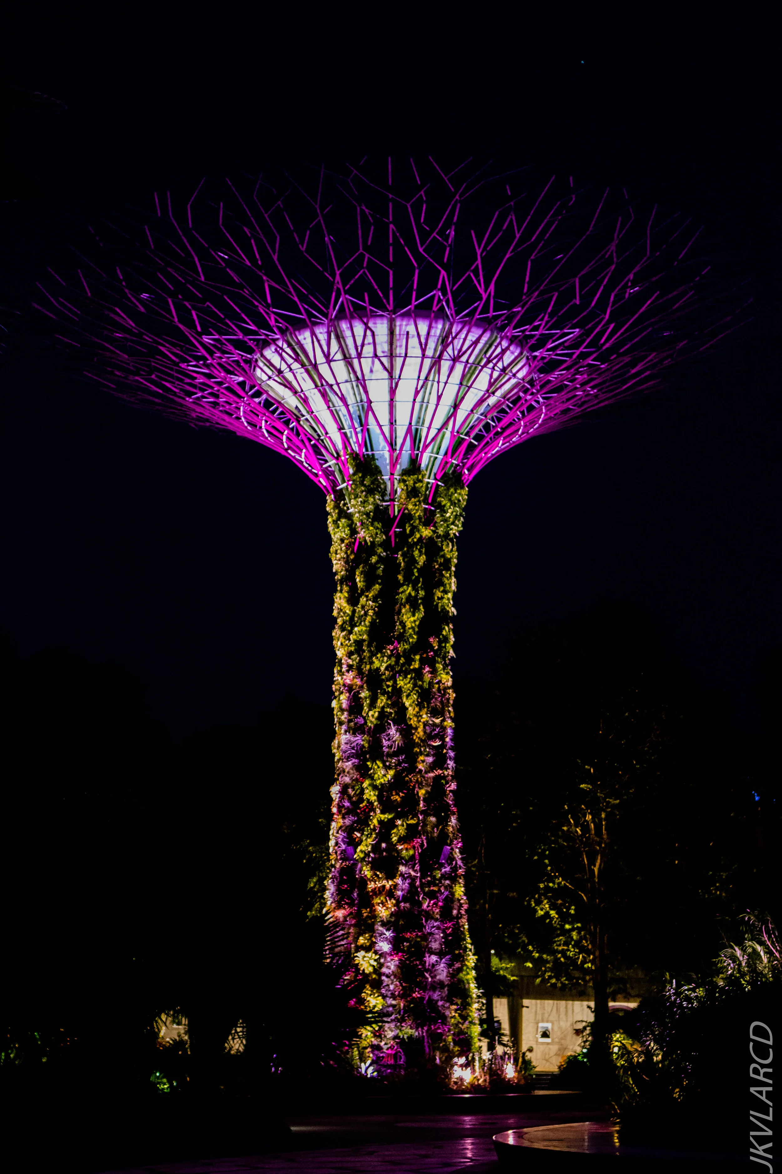 EOS 7D Mark II_2020_08_10_0059.jpg