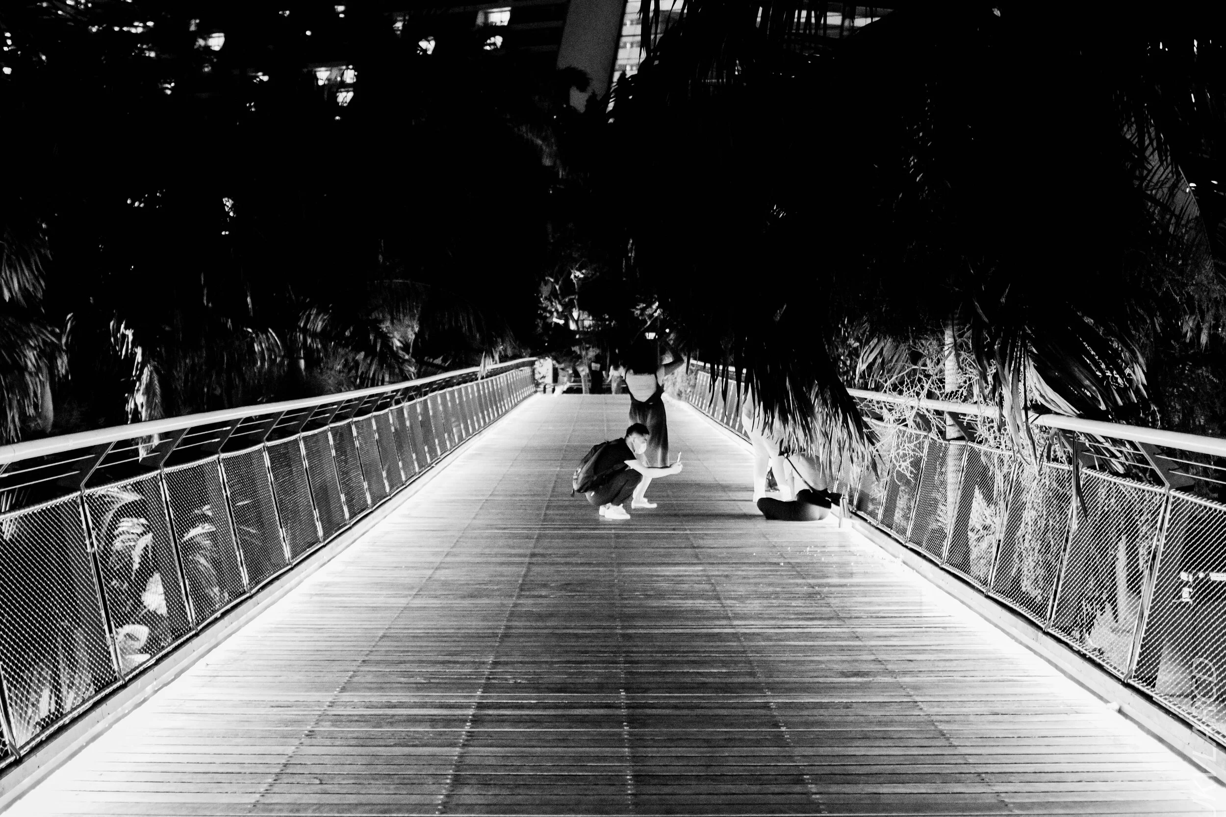 EOS 7D Mark II_2020_08_10_0072.jpg