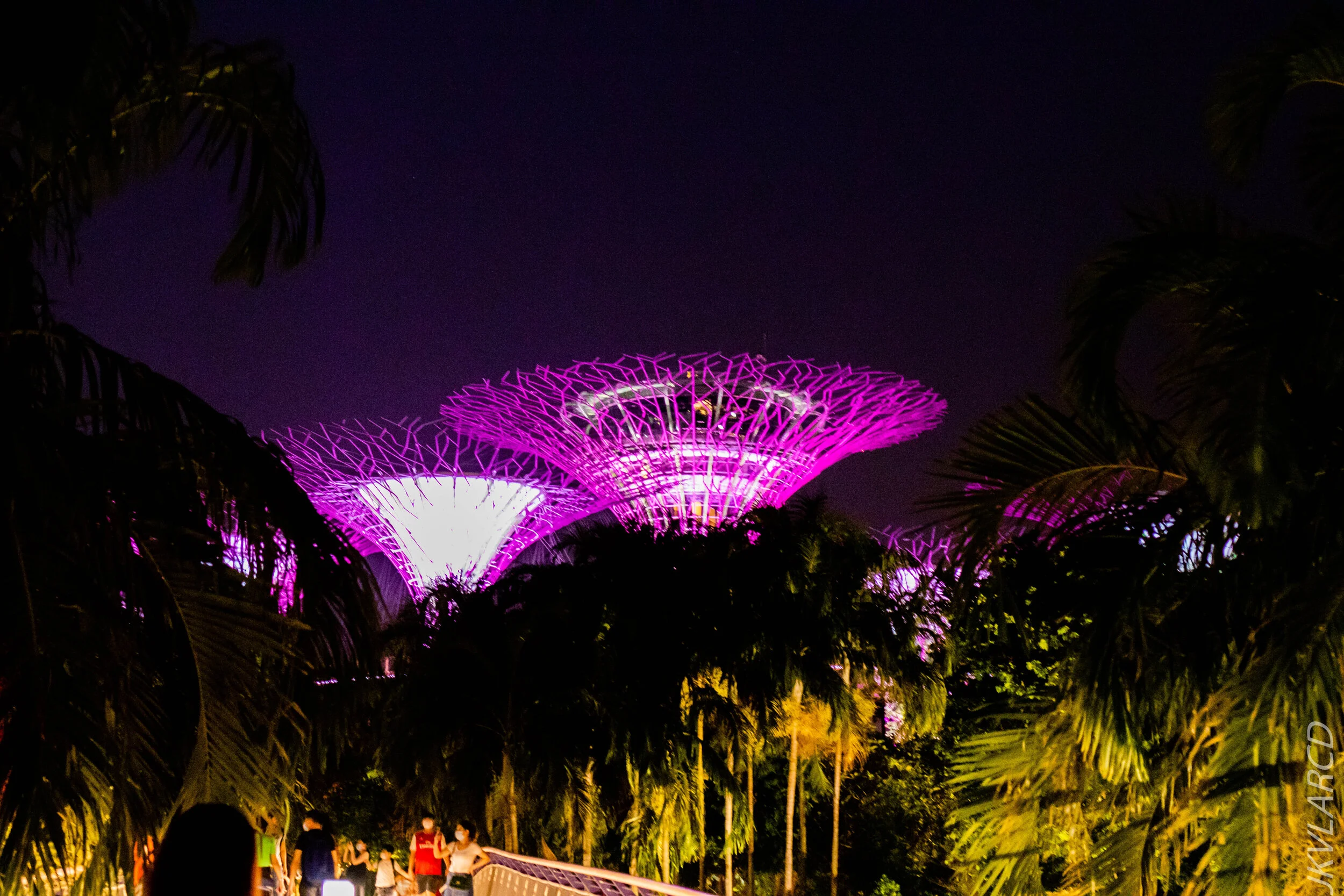 EOS 7D Mark II_2020_08_10_0074.jpg