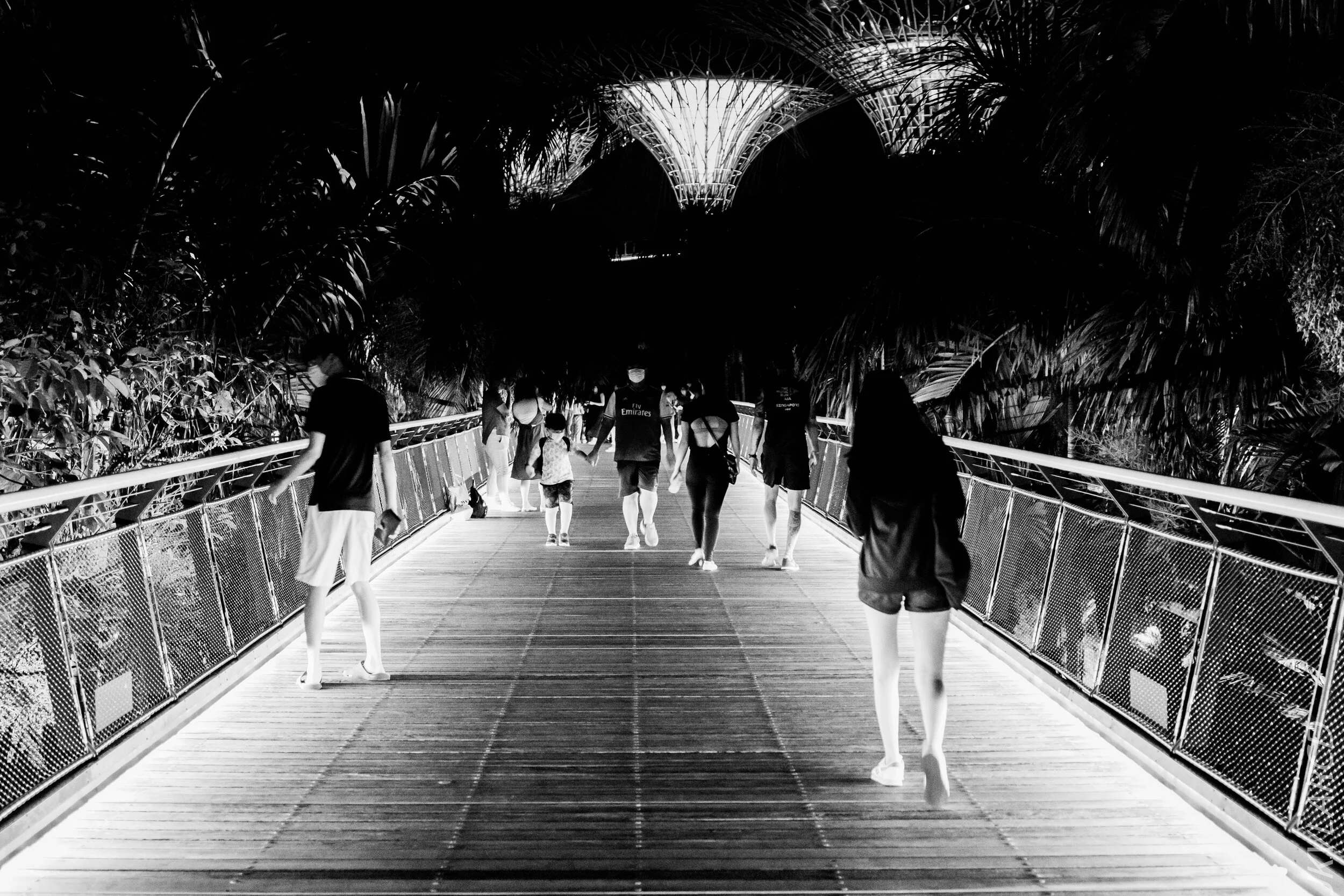 EOS 7D Mark II_2020_08_10_0075.jpg