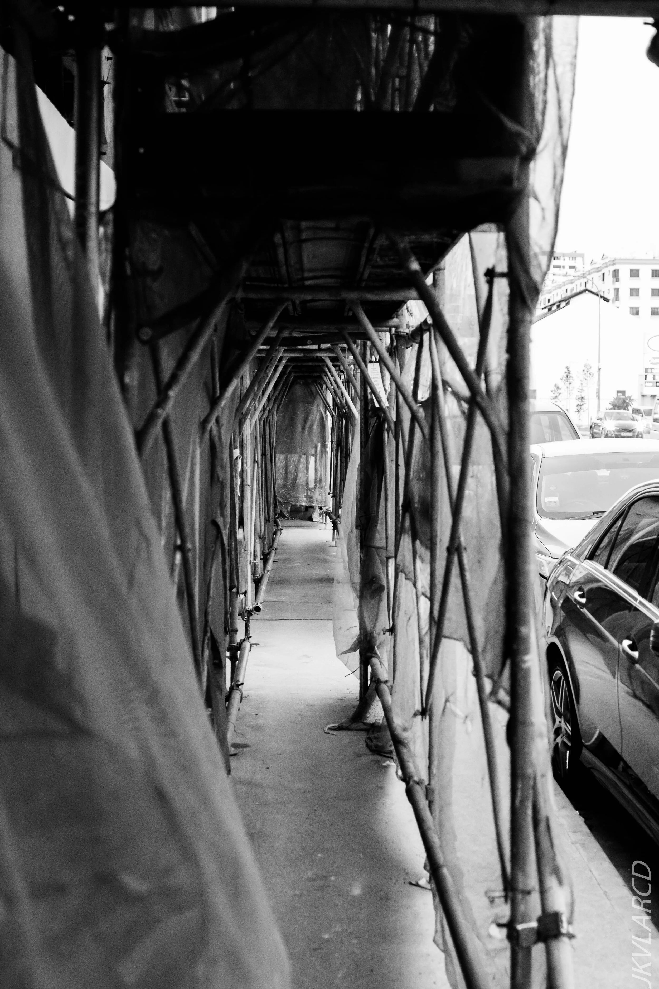 EOS 7D Mark II_2020_08_15_0132.jpg