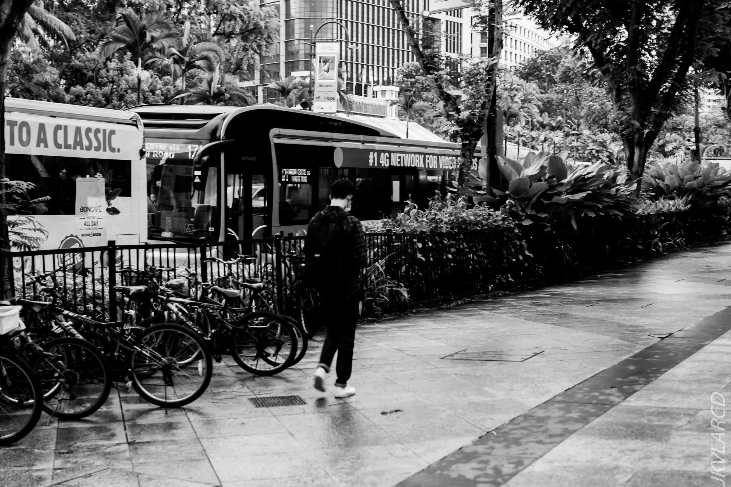 EOS 7D Mark II_2020_08_29_0169.jpg