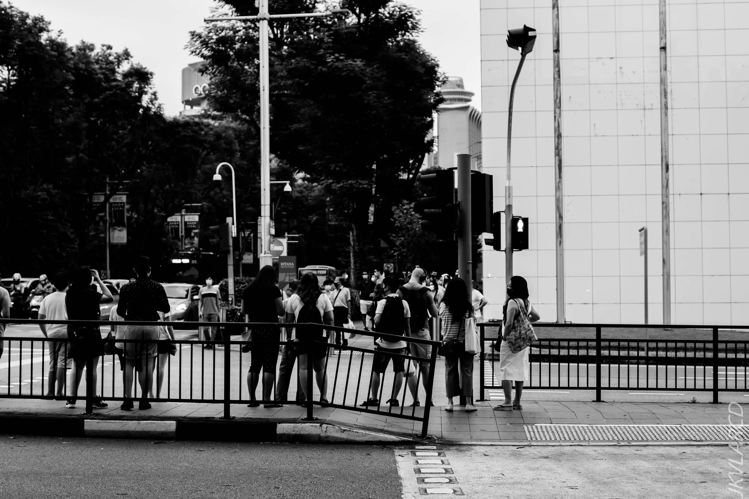 EOS 7D Mark II_2020_08_29_0180.jpg