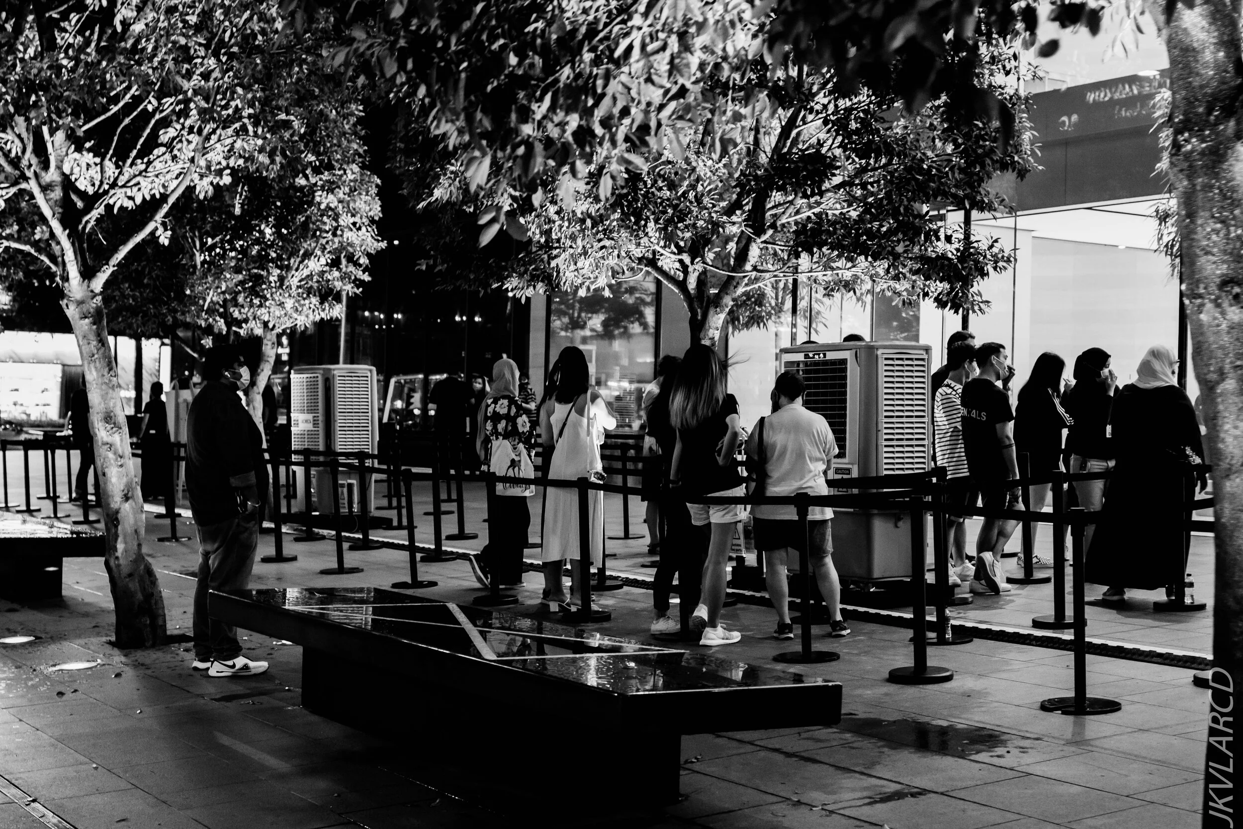 EOS 7D Mark II_2020_08_29_0203.jpg