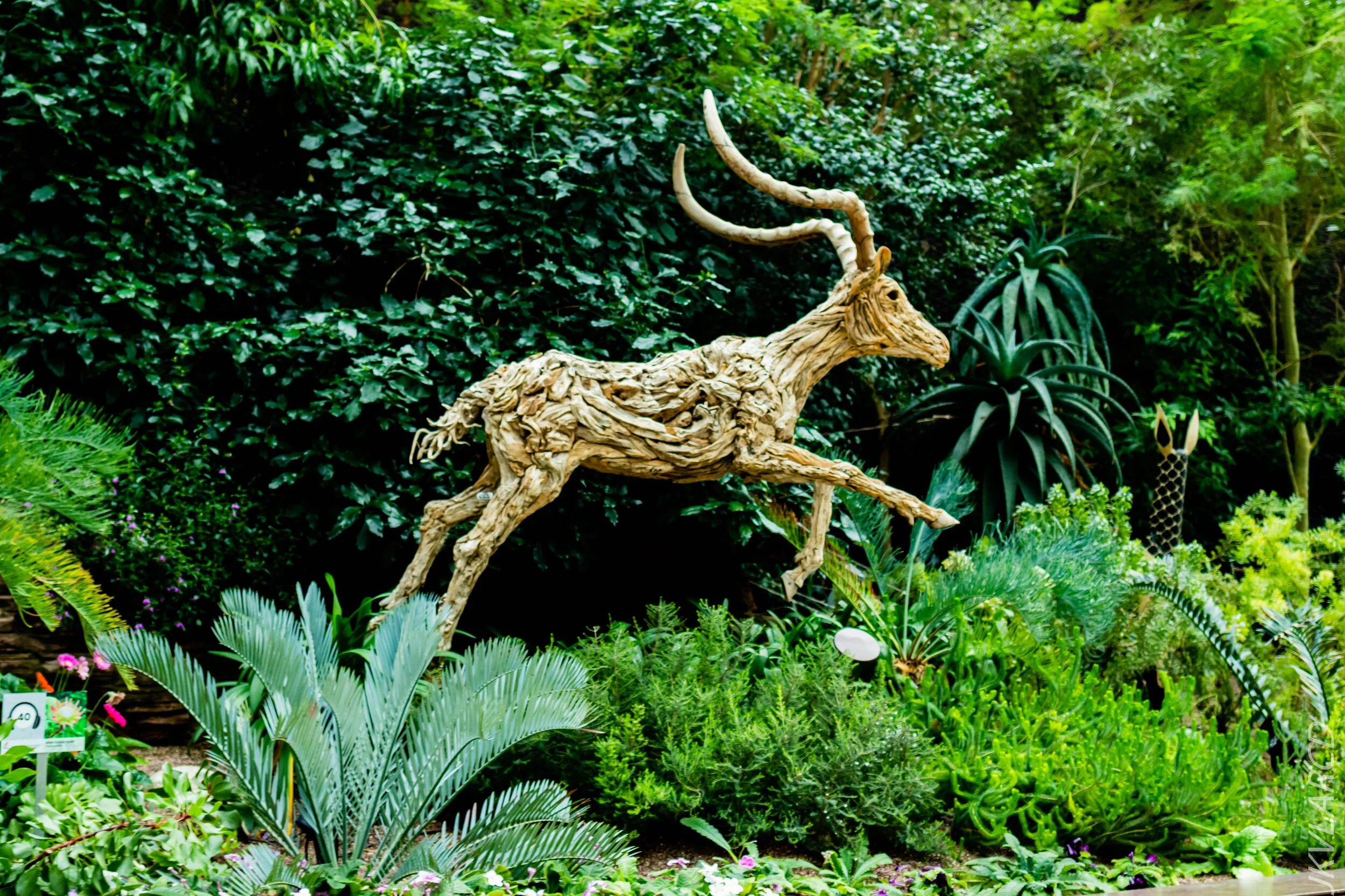 EOS 7D Mark II_2020_09_05_0314.jpg