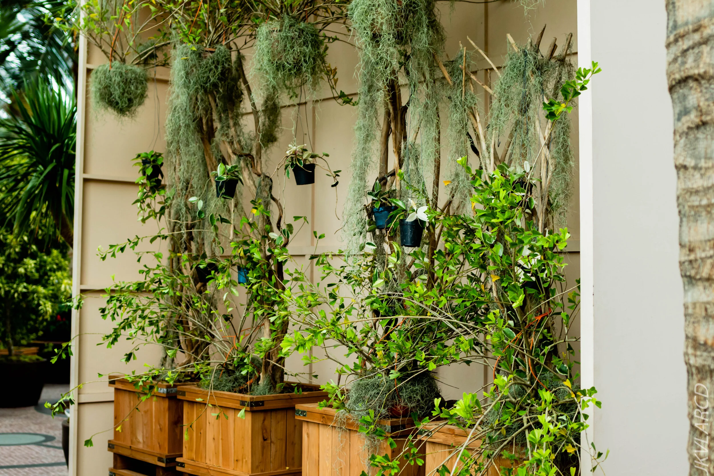 EOS 7D Mark II_2020_09_05_0330.jpg