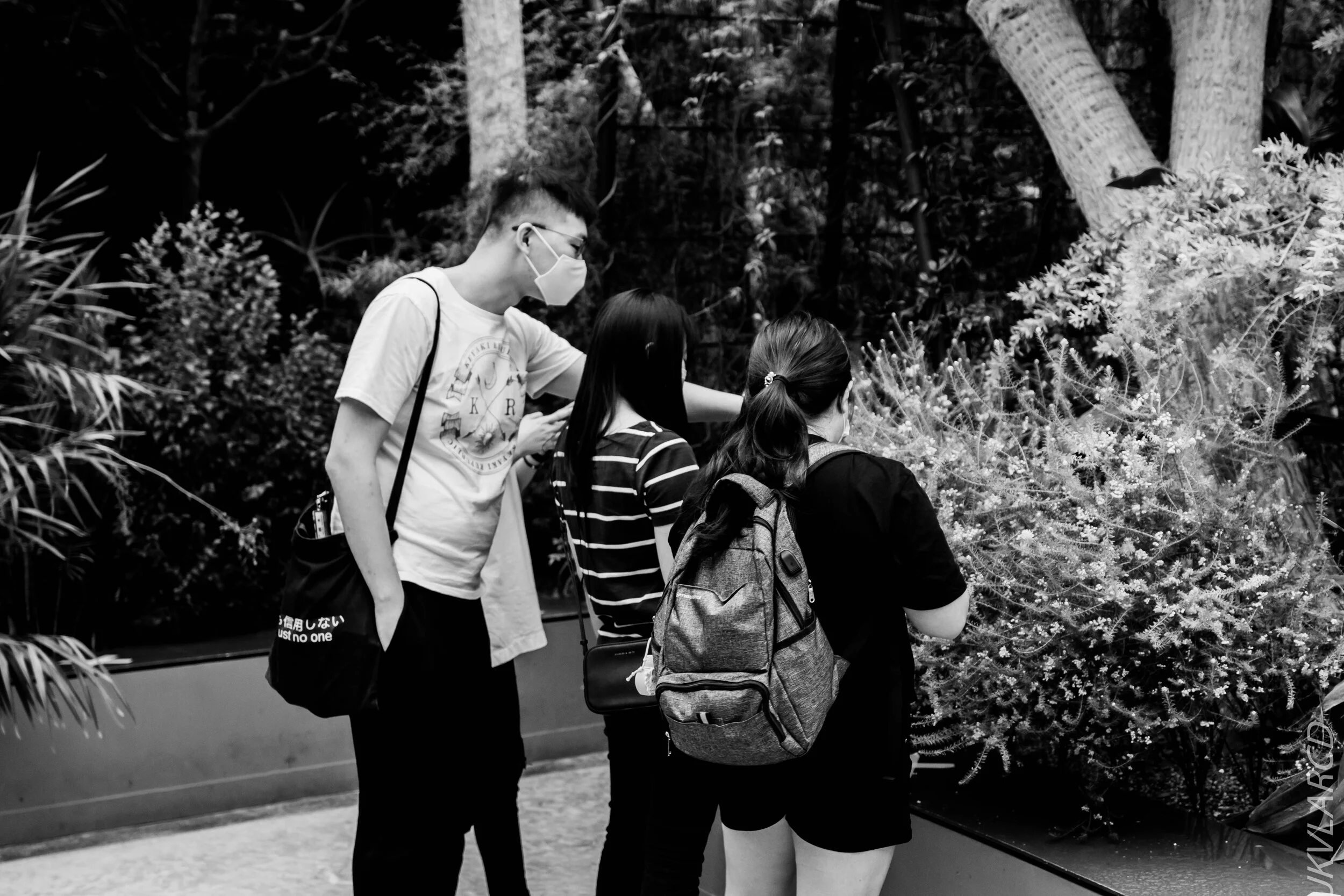 EOS 7D Mark II_2020_09_05_0312.jpg