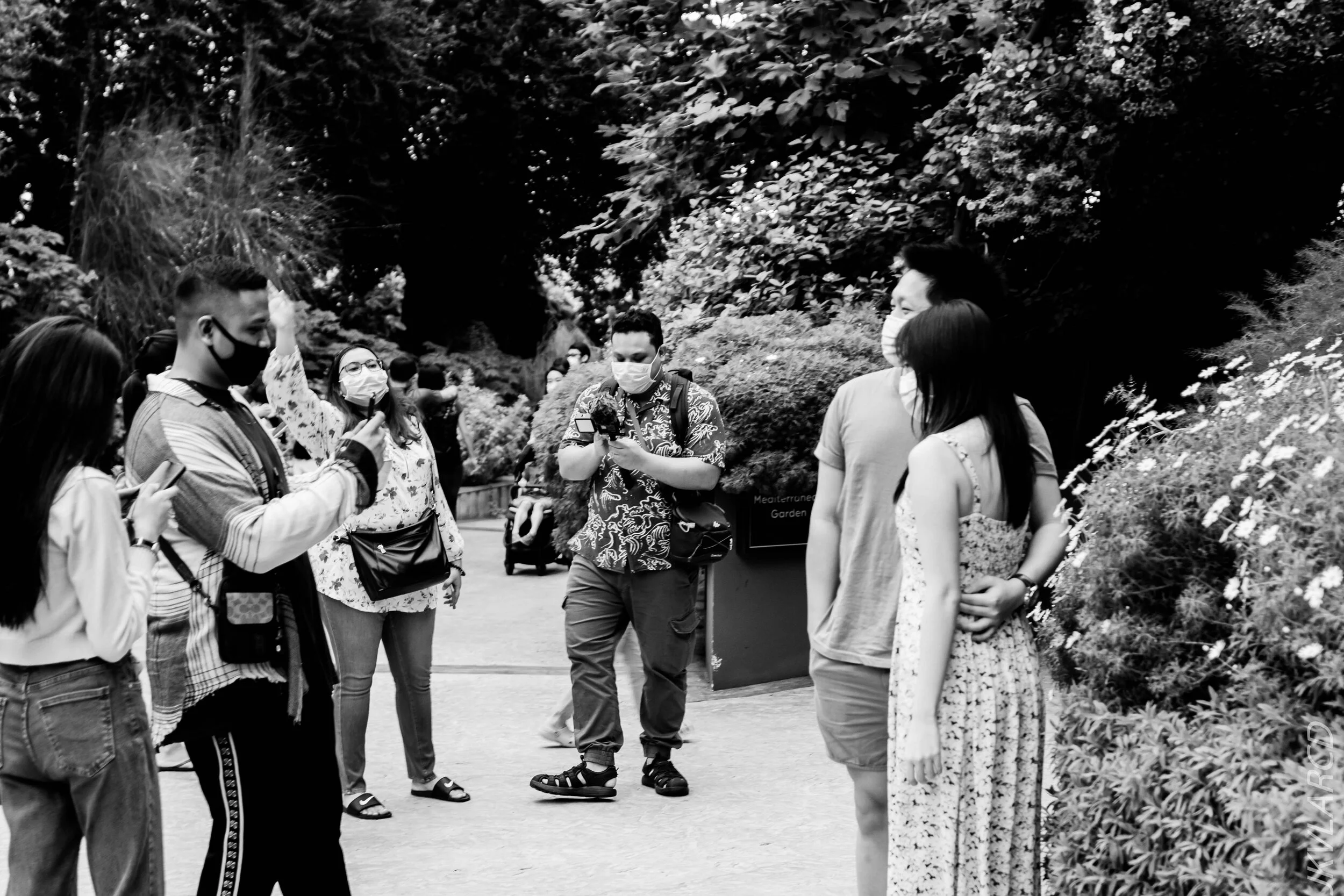 EOS 7D Mark II_2020_09_05_0335.jpg