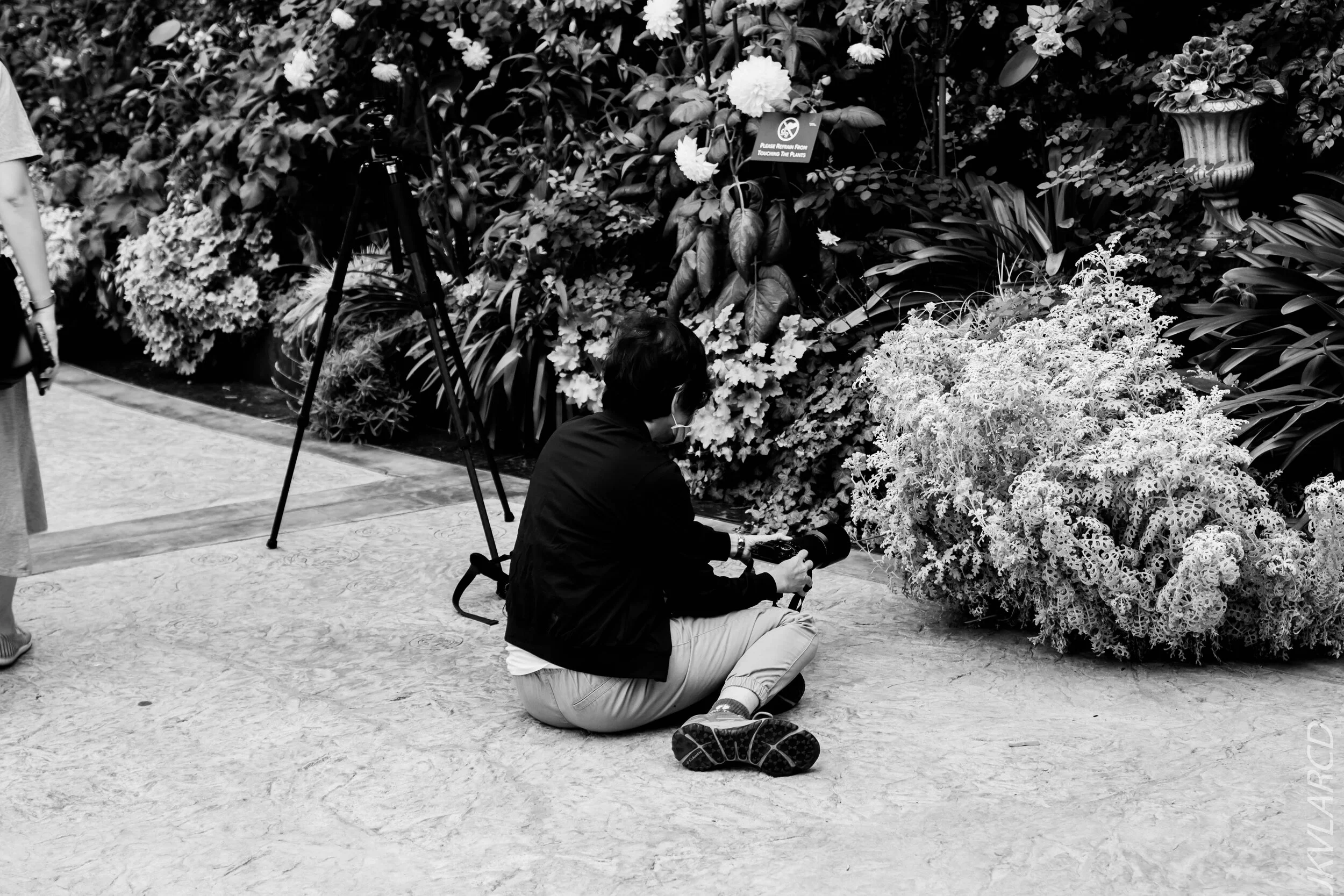 EOS 7D Mark II_2020_09_05_0346.jpg