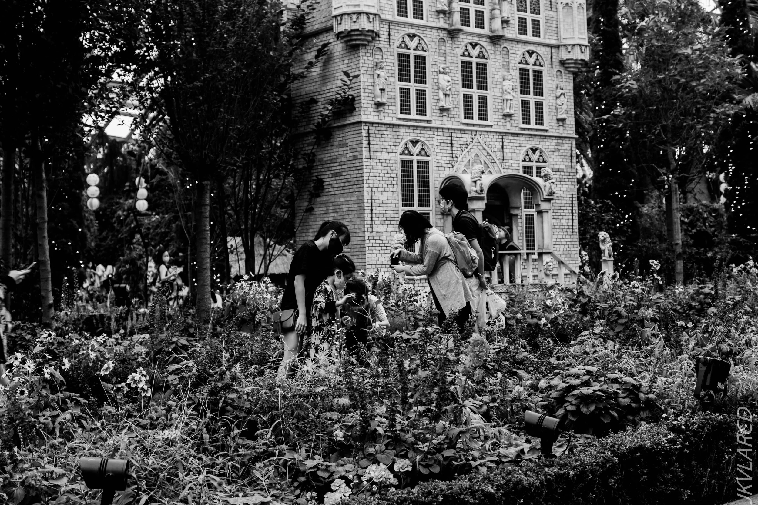 EOS 7D Mark II_2020_09_05_0380.jpg