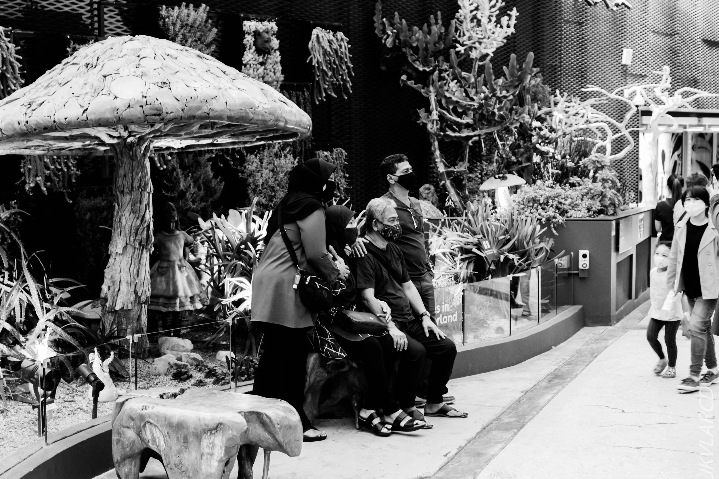 EOS 7D Mark II_2020_09_05_0400.jpg