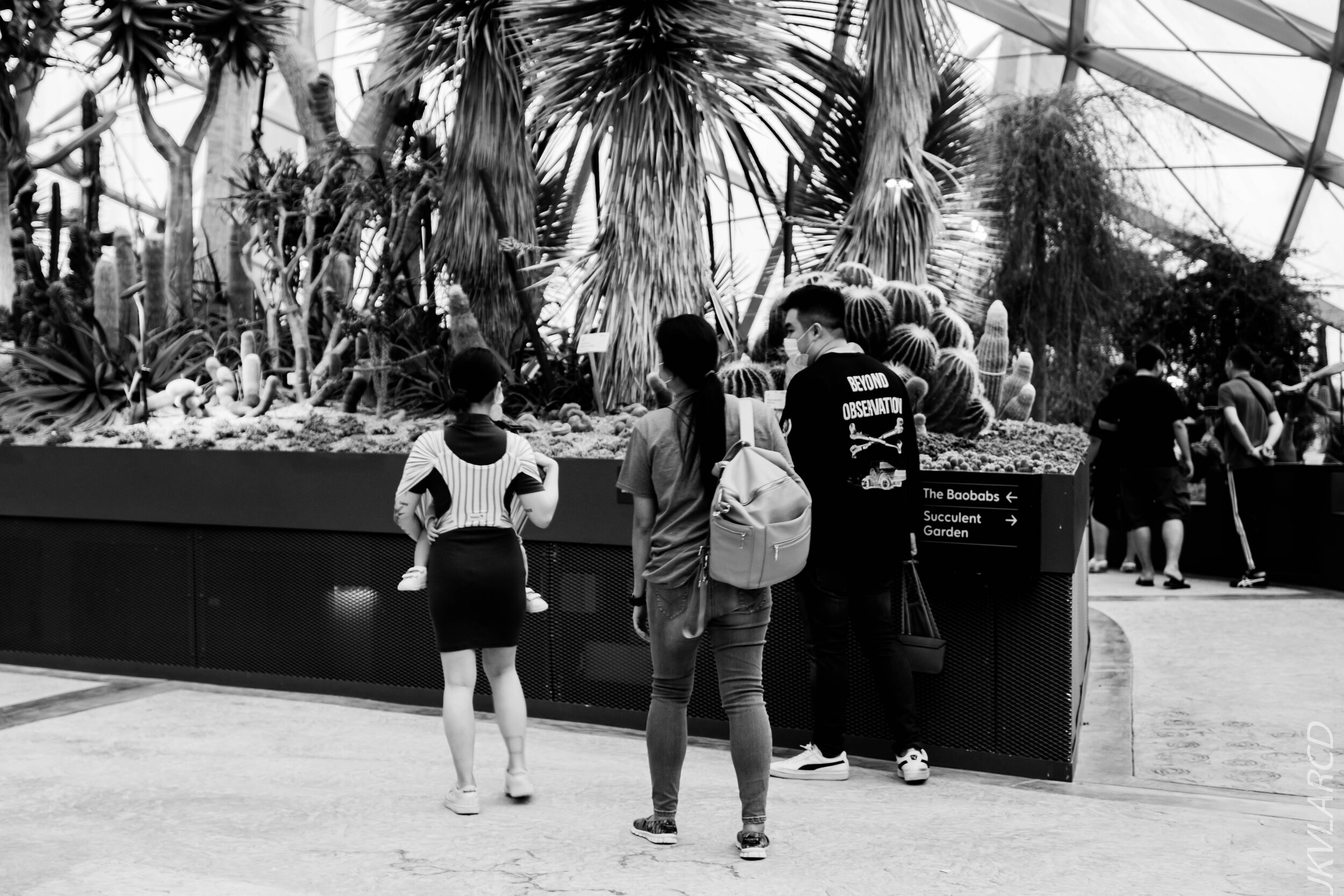 EOS 7D Mark II_2020_09_05_0401.jpg