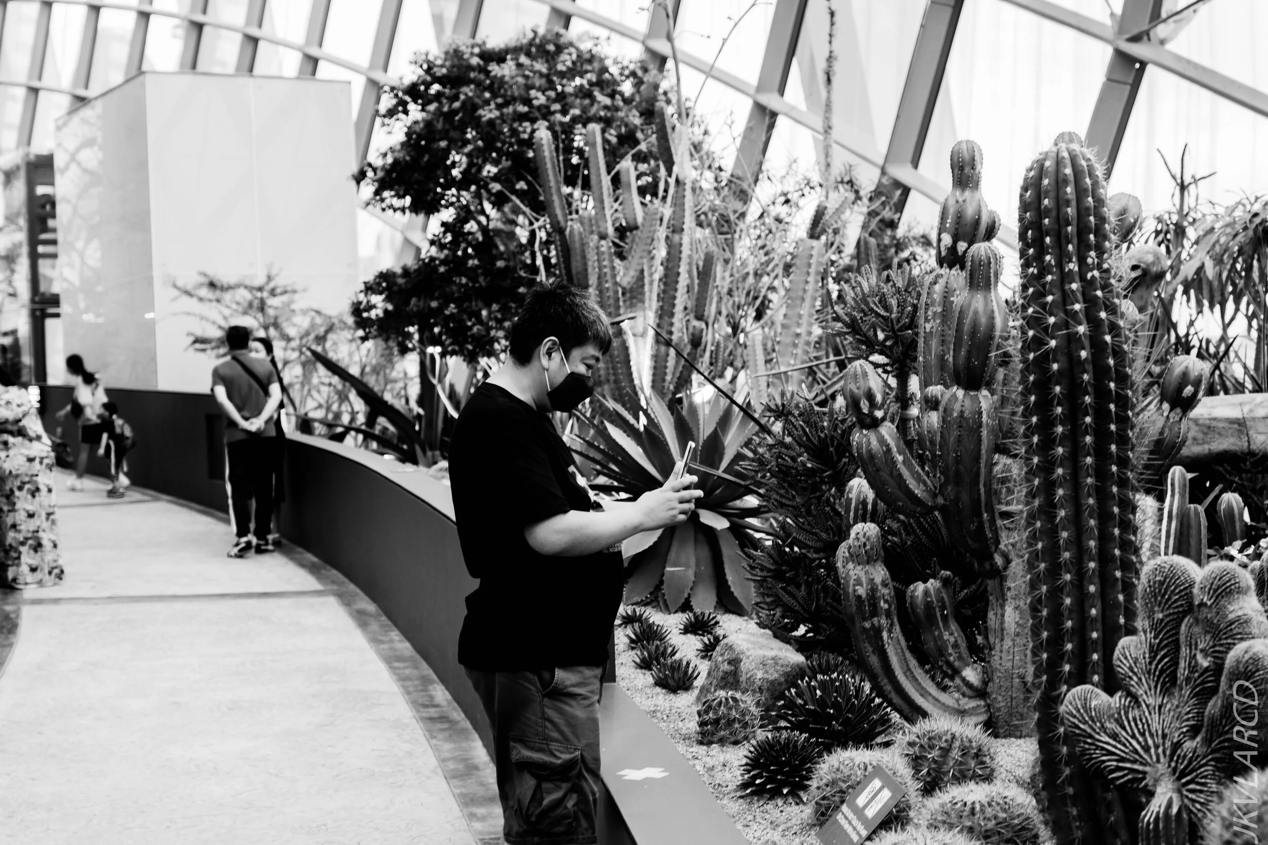 EOS 7D Mark II_2020_09_05_0406.jpg