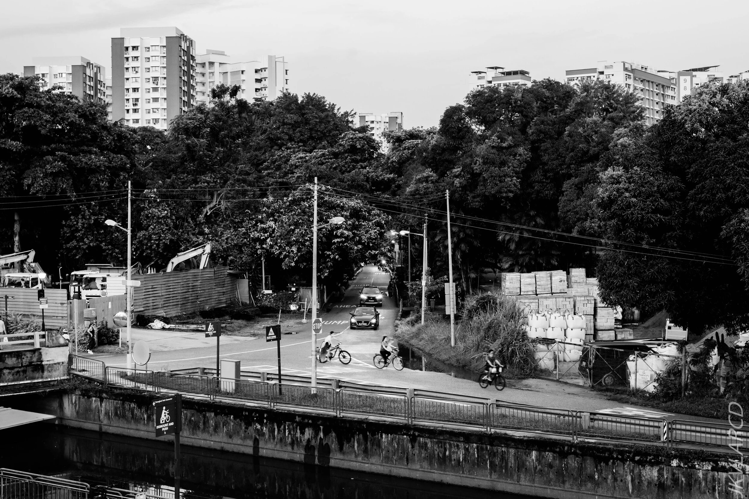 EOS 7D Mark II_2020_09_12_0533.jpg