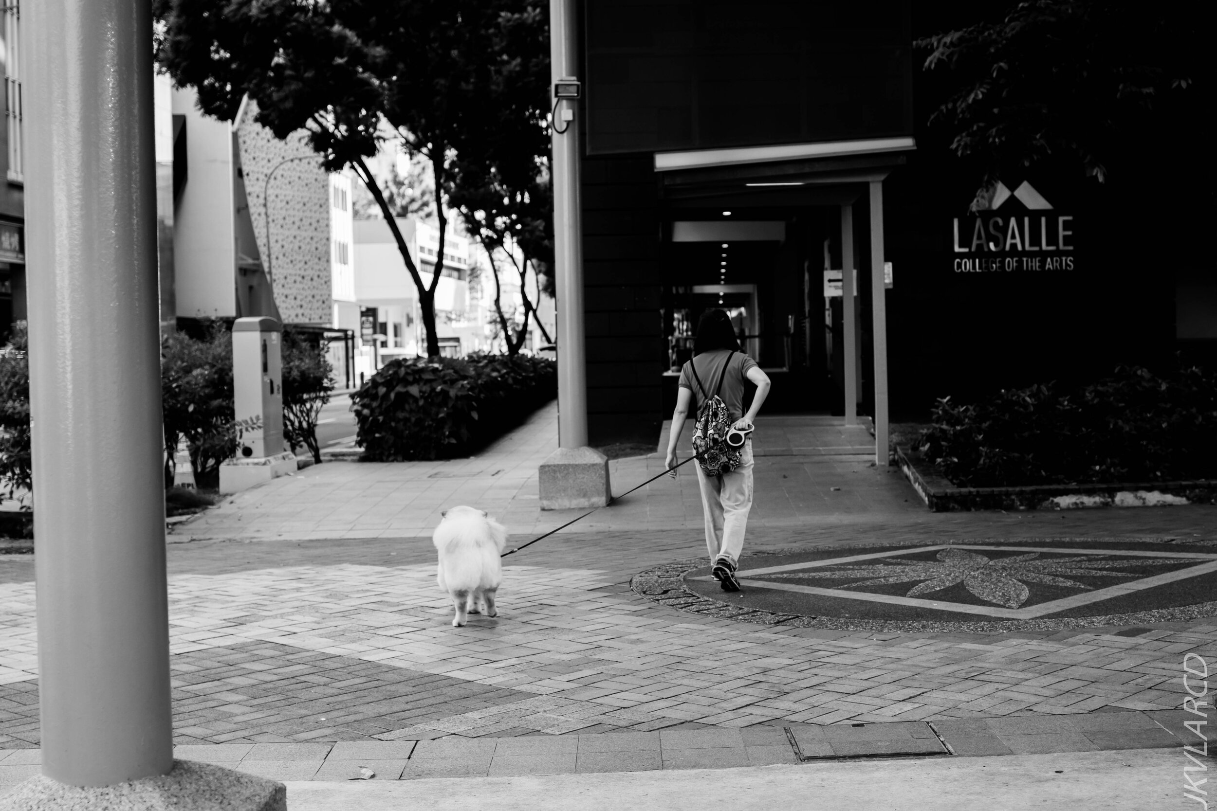 EOS 7D Mark II_2020_09_19_0590.jpg