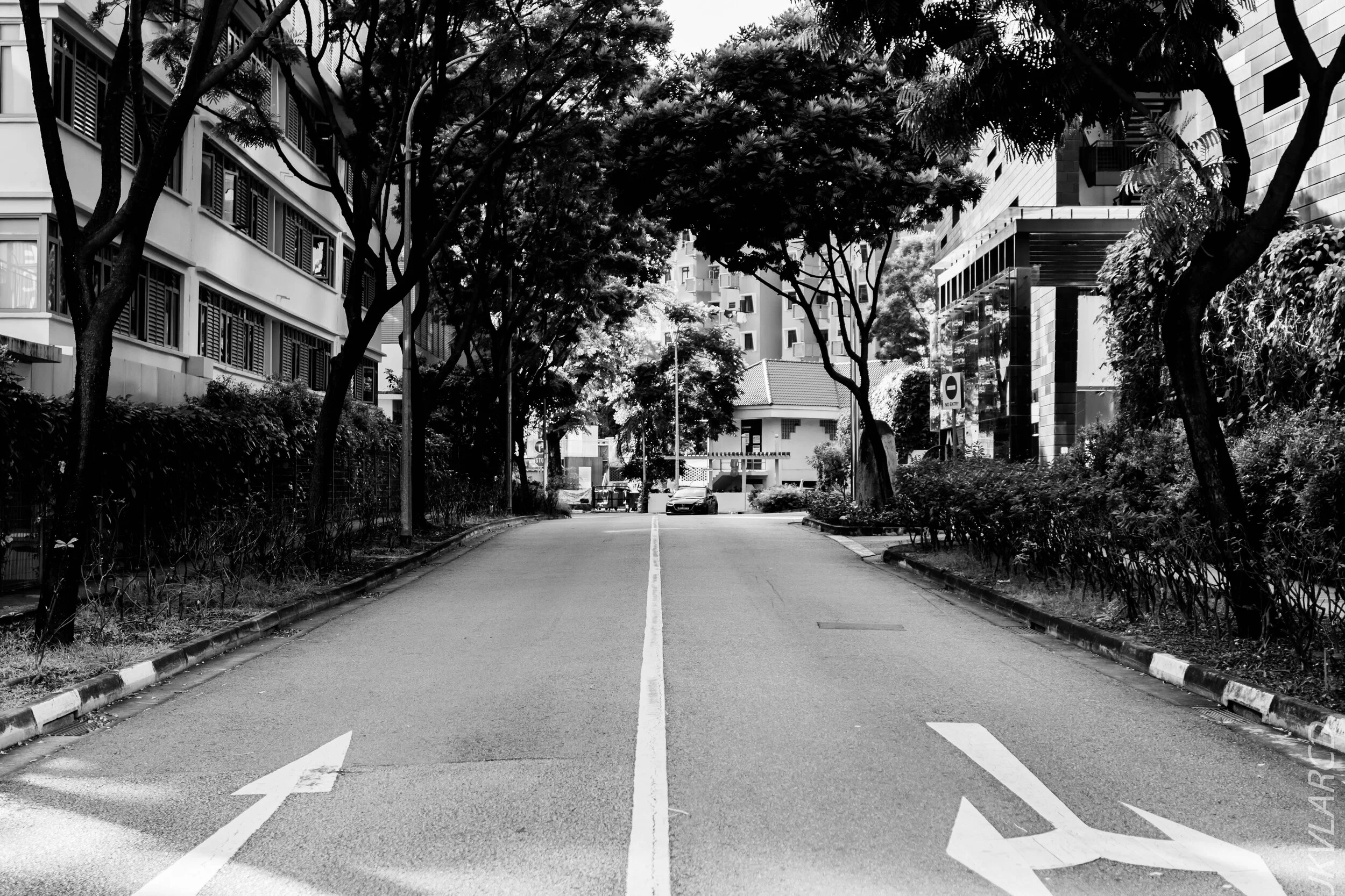 EOS 7D Mark II_2020_09_19_0595.jpg