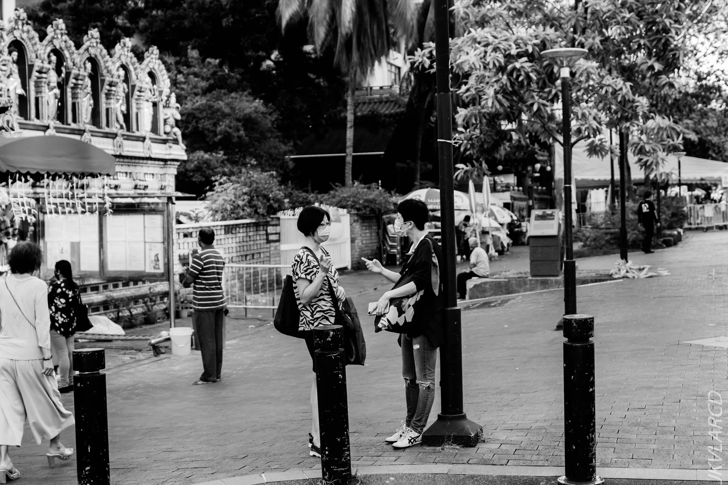 EOS 7D Mark II_2020_09_19_0637.jpg