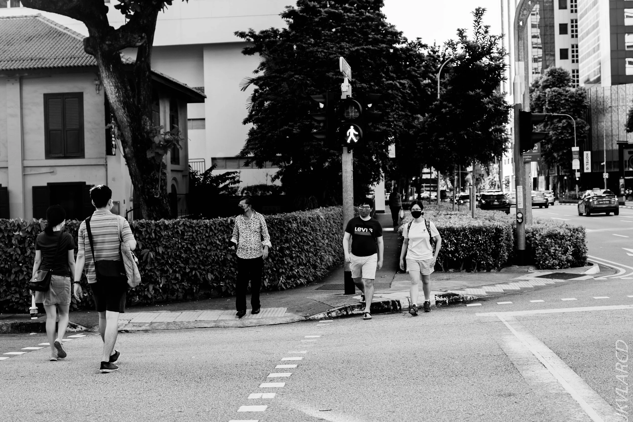 EOS 7D Mark II_2020_09_19_0632.jpg