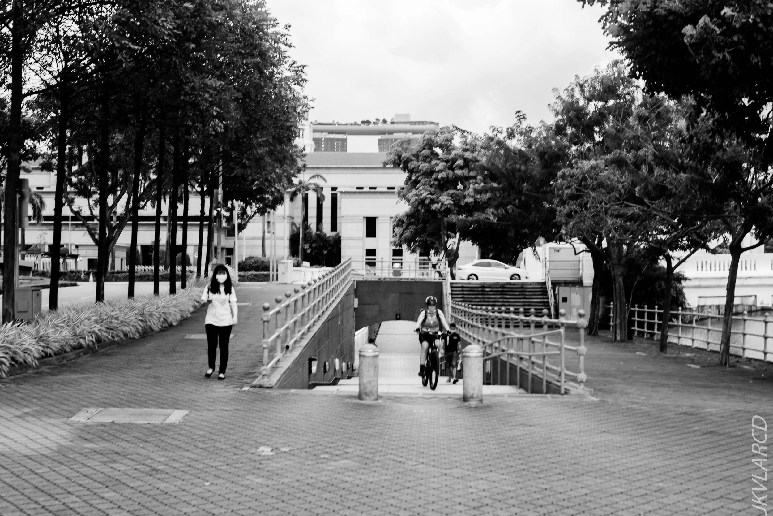 EOS 7D Mark II_2020_09_26_1137.jpg