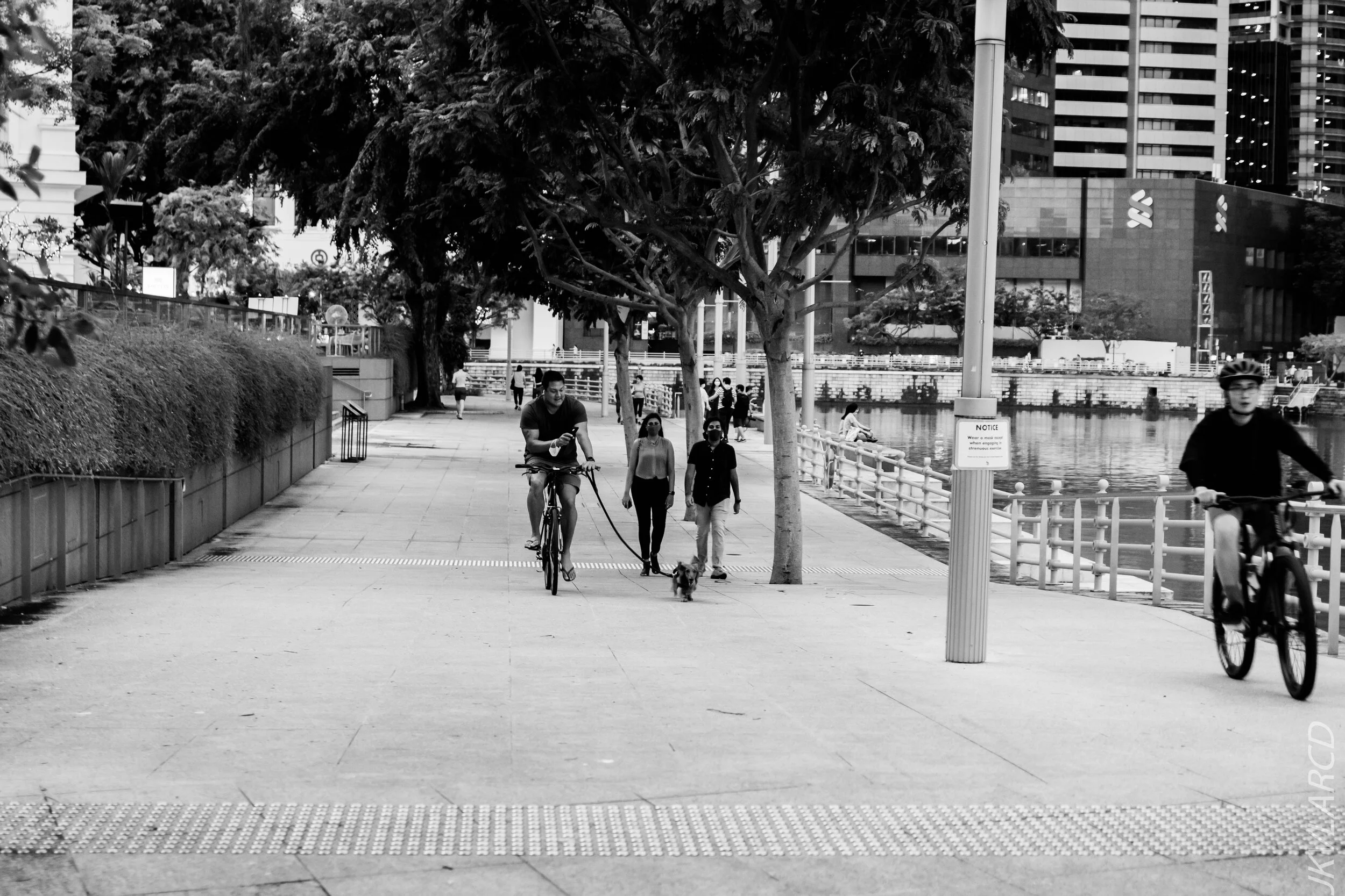 EOS 7D Mark II_2020_09_26_1151.jpg