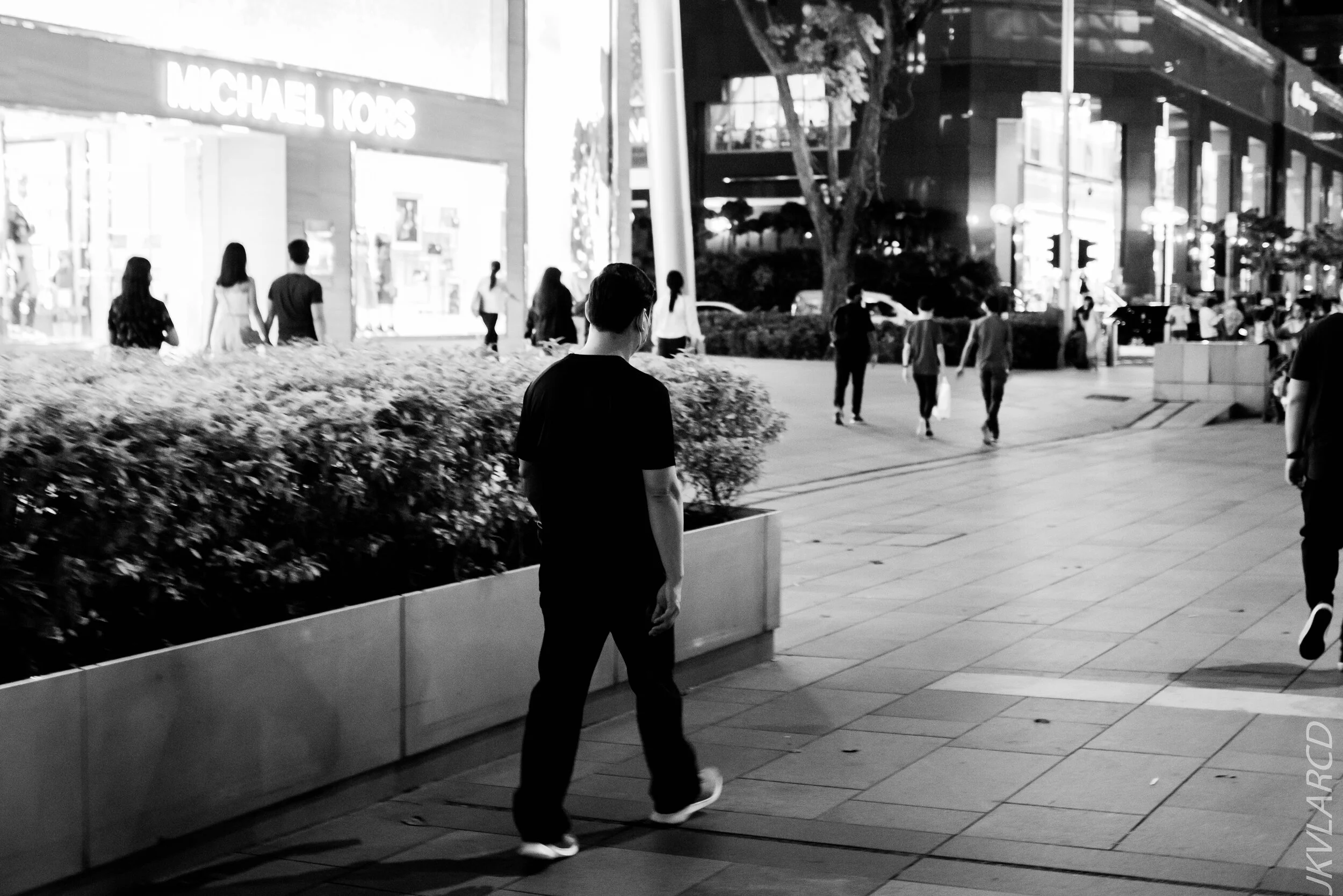 EOS 7D Mark II_2020_10_03_1245.jpg