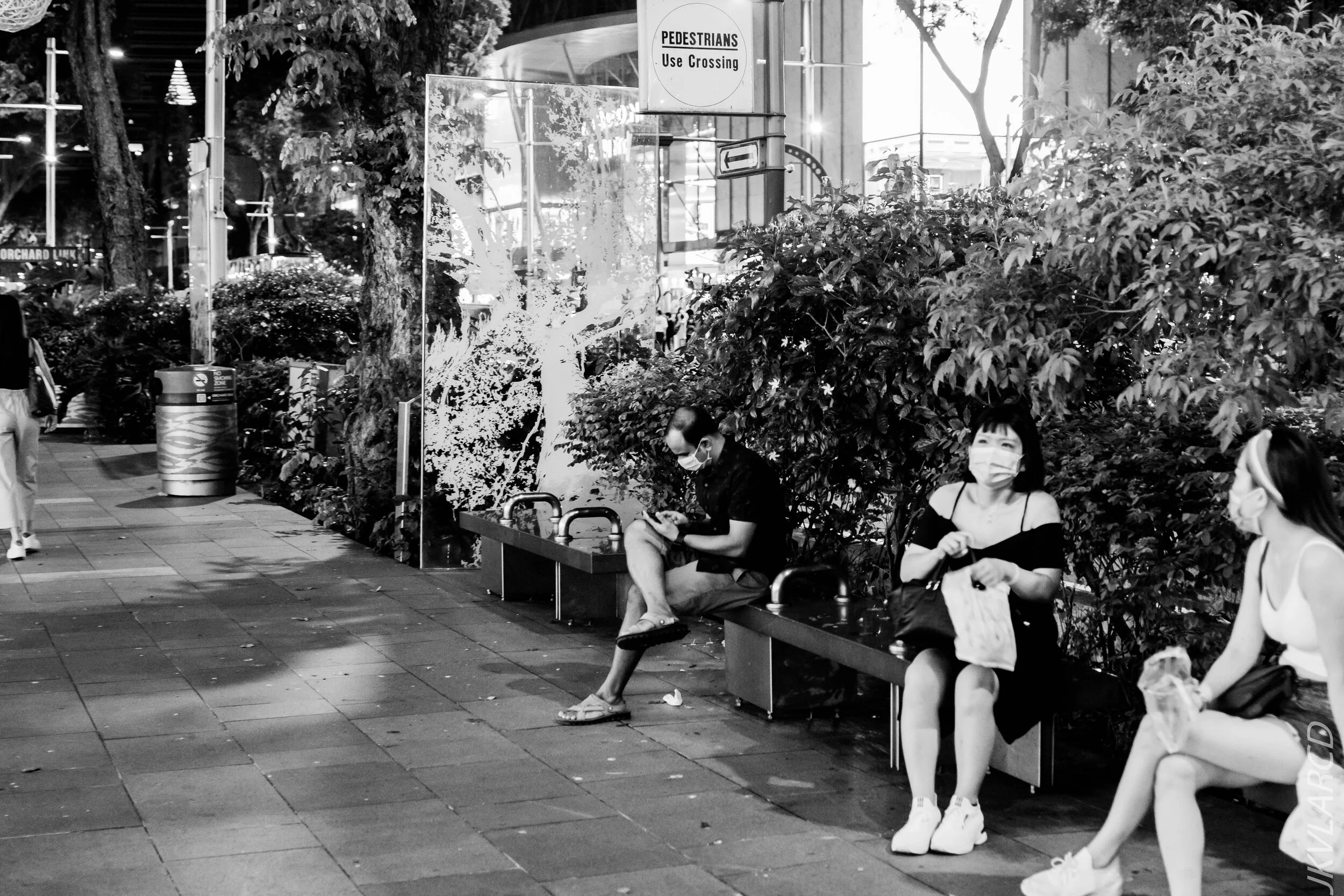 EOS 7D Mark II_2020_10_03_1246.jpg