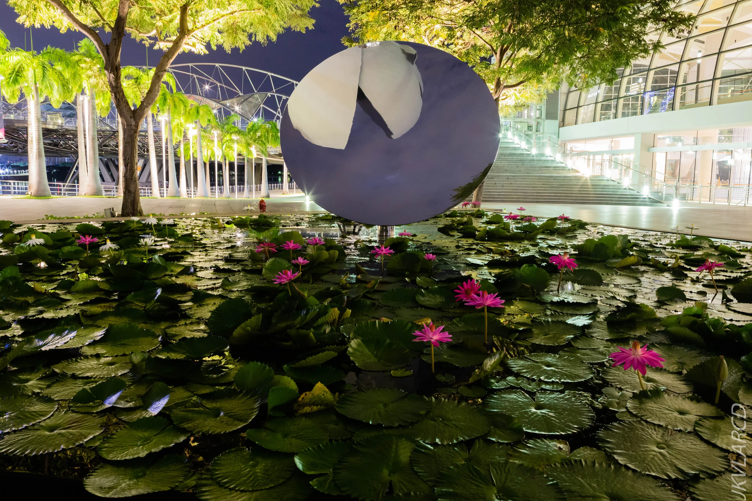 EOS 7D Mark II_2020_10_04_1265.jpg