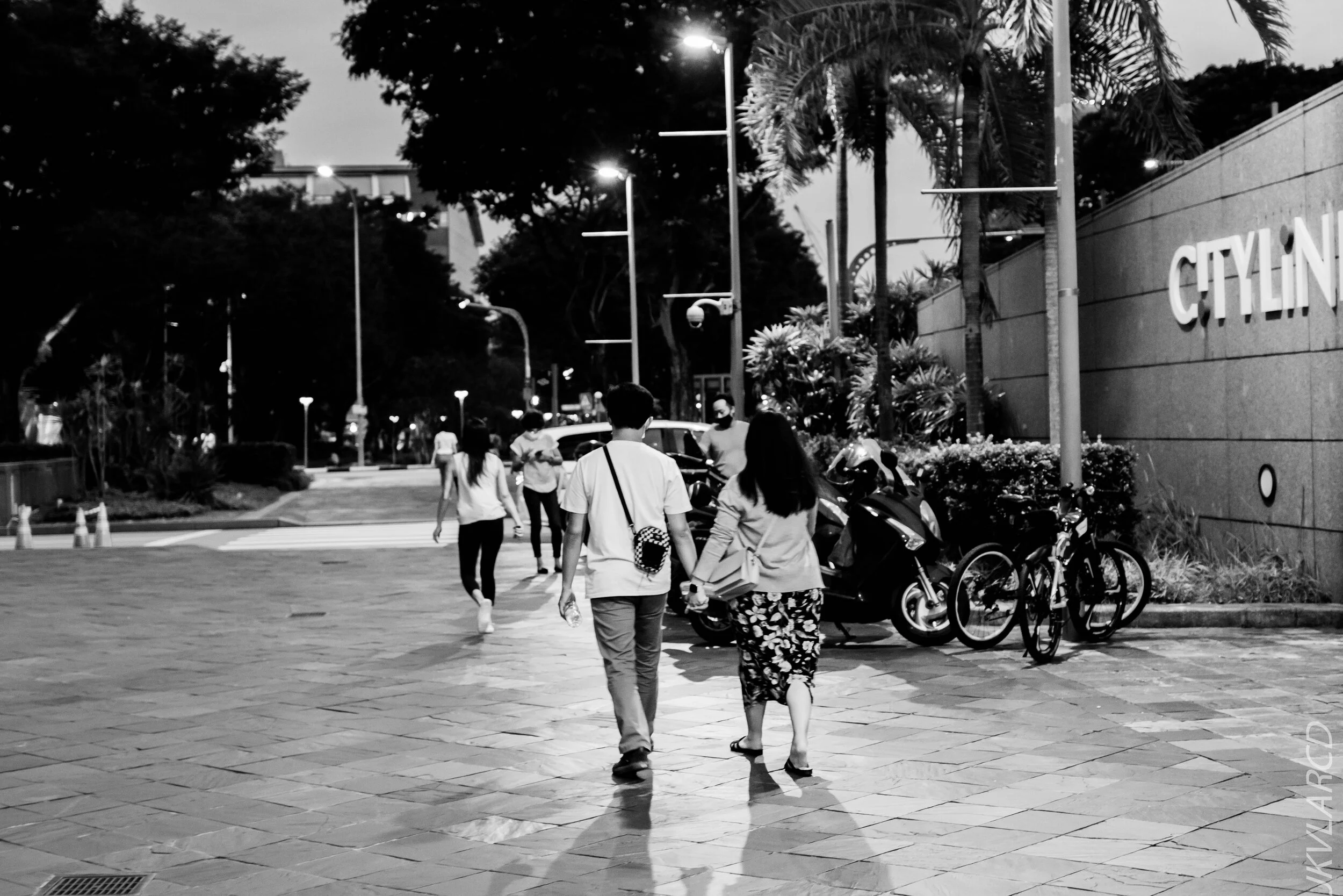 EOS 7D Mark II_2020_10_10_1275.jpg