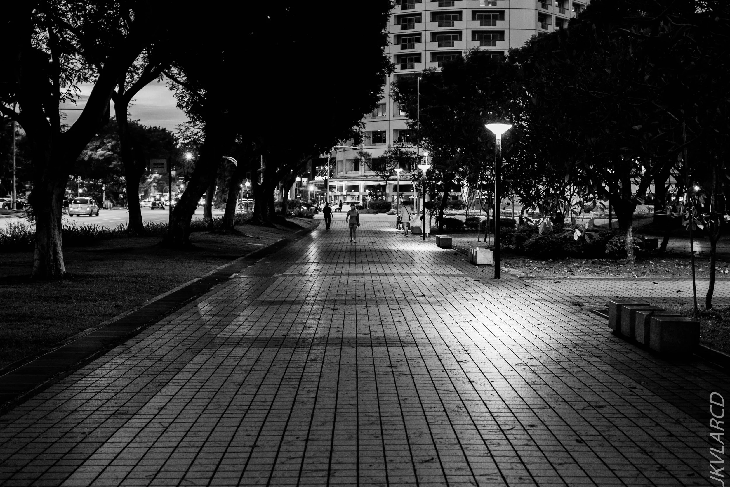 EOS 7D Mark II_2020_10_10_1282.jpg