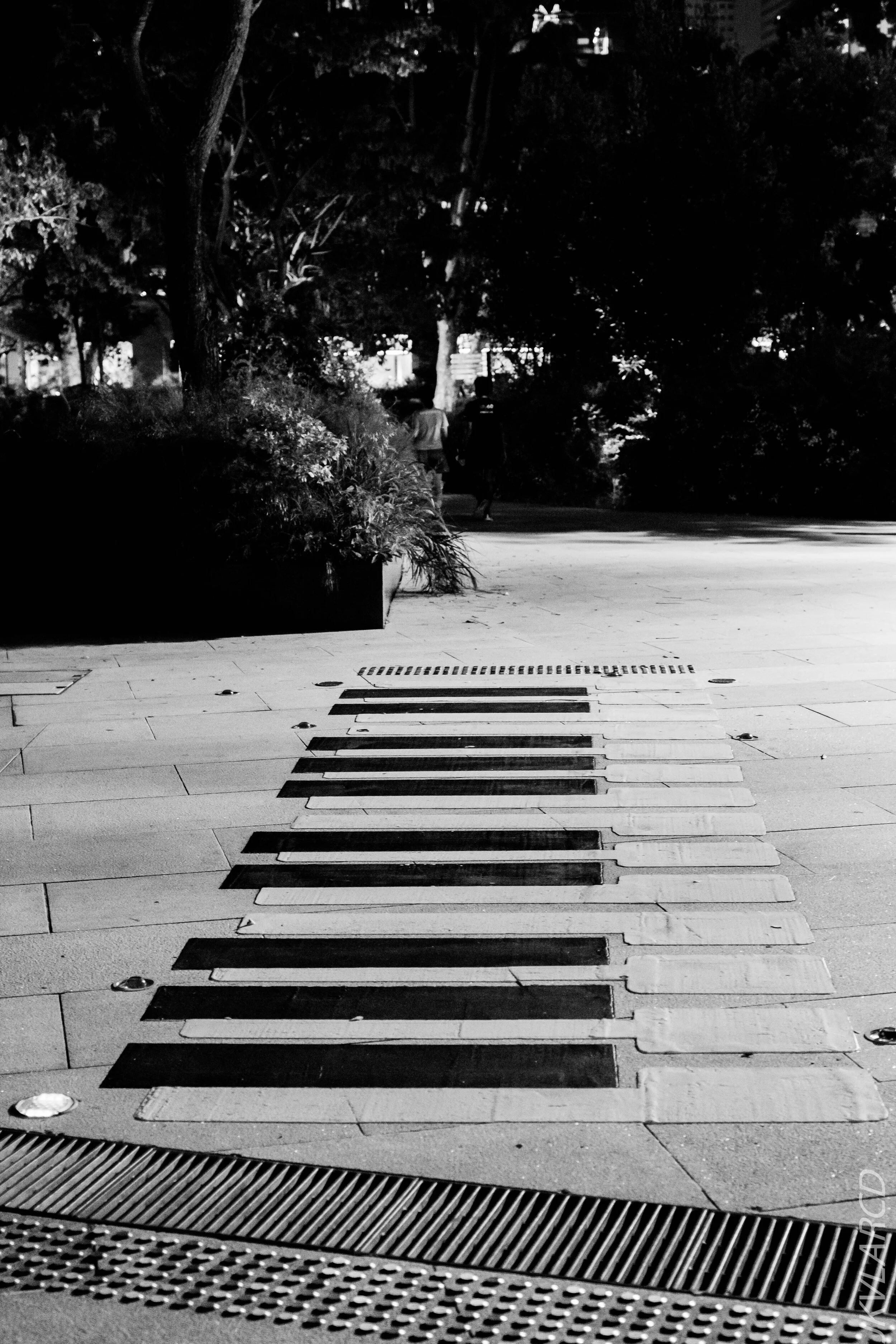 EOS 7D Mark II_2020_10_10_1302.jpg