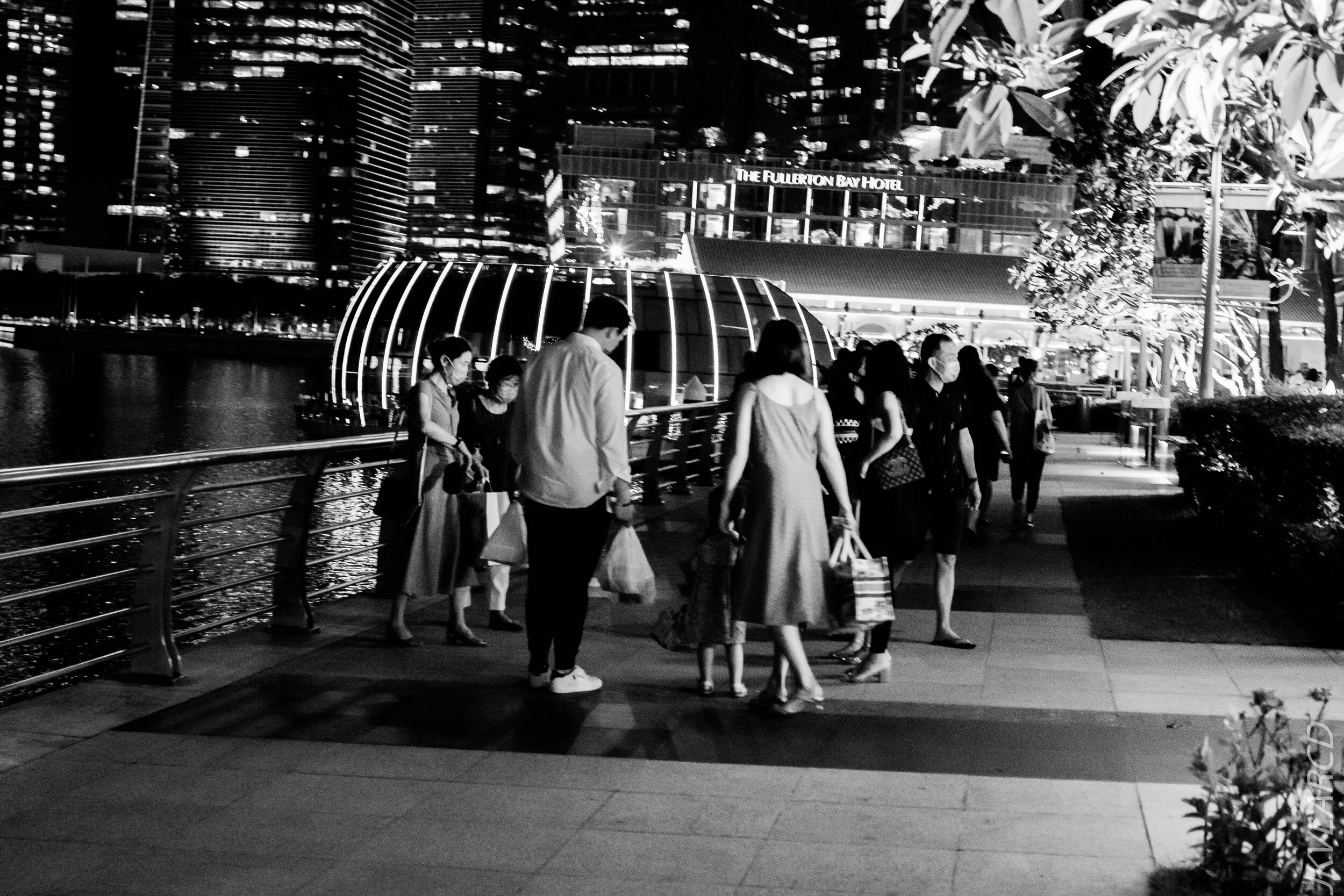 EOS 7D Mark II_2020_10_10_1355.jpg