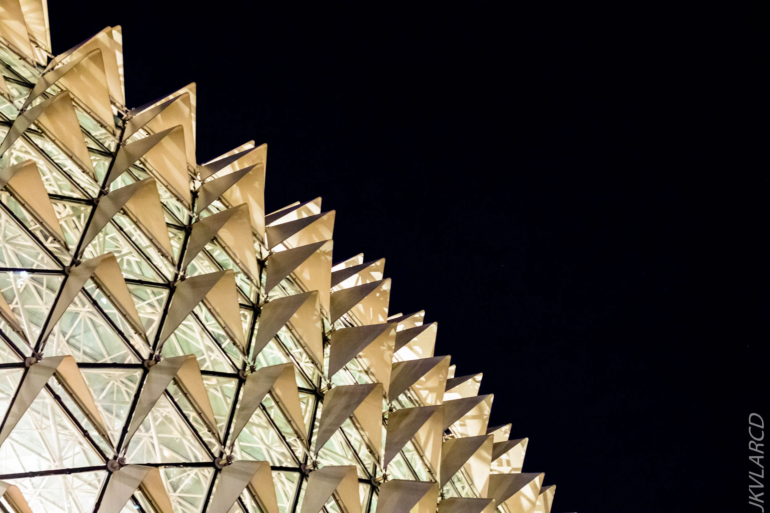 EOS 7D Mark II_2020_10_10_1300.jpg