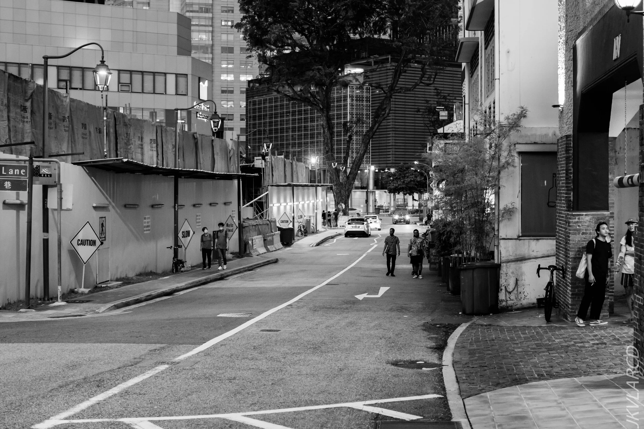 EOS 7D Mark II_2020_10_24_1474.jpg