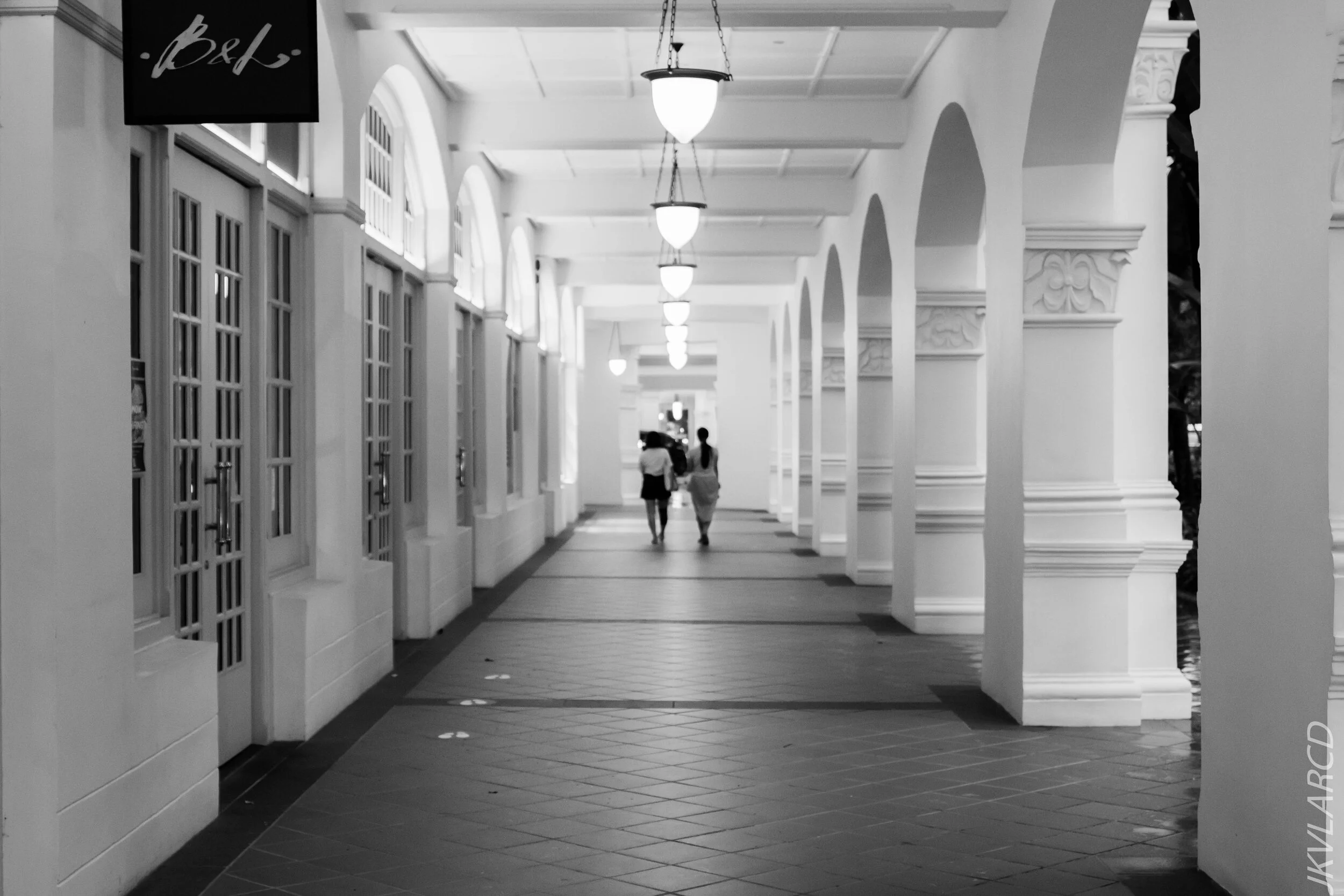 EOS 7D Mark II_2020_10_31_1515.jpg
