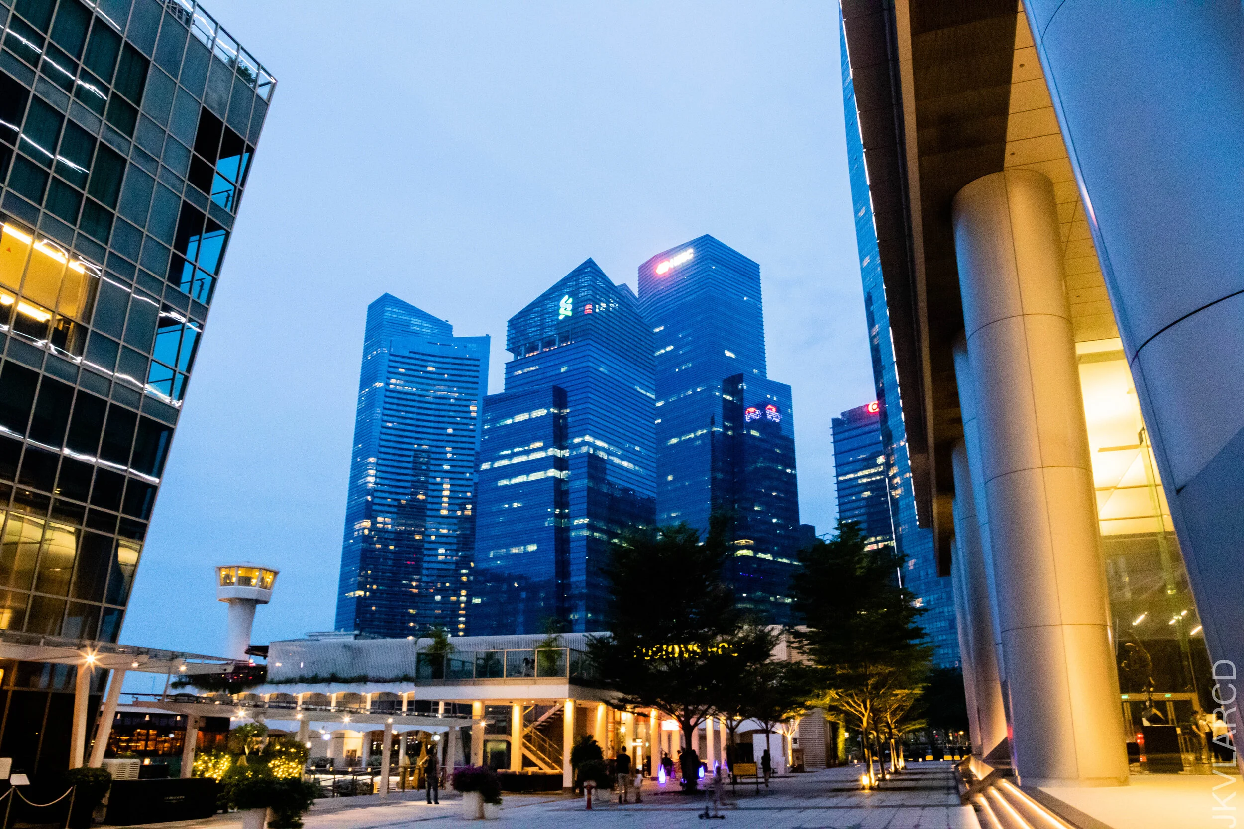 EOS 7D Mark II_2020_11_07_1584.jpg