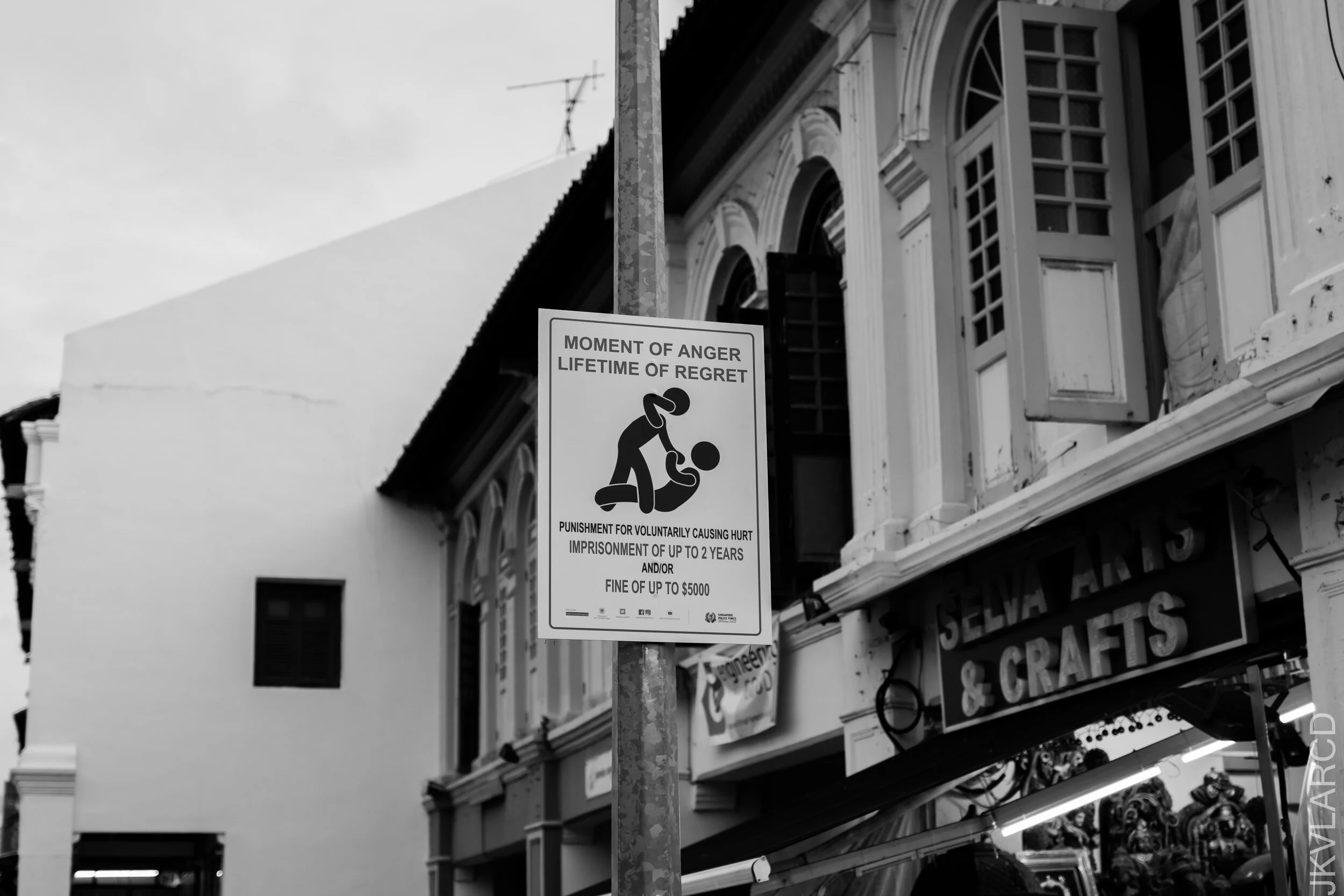 EOS 7D Mark II_2020_11_14_1845.jpg