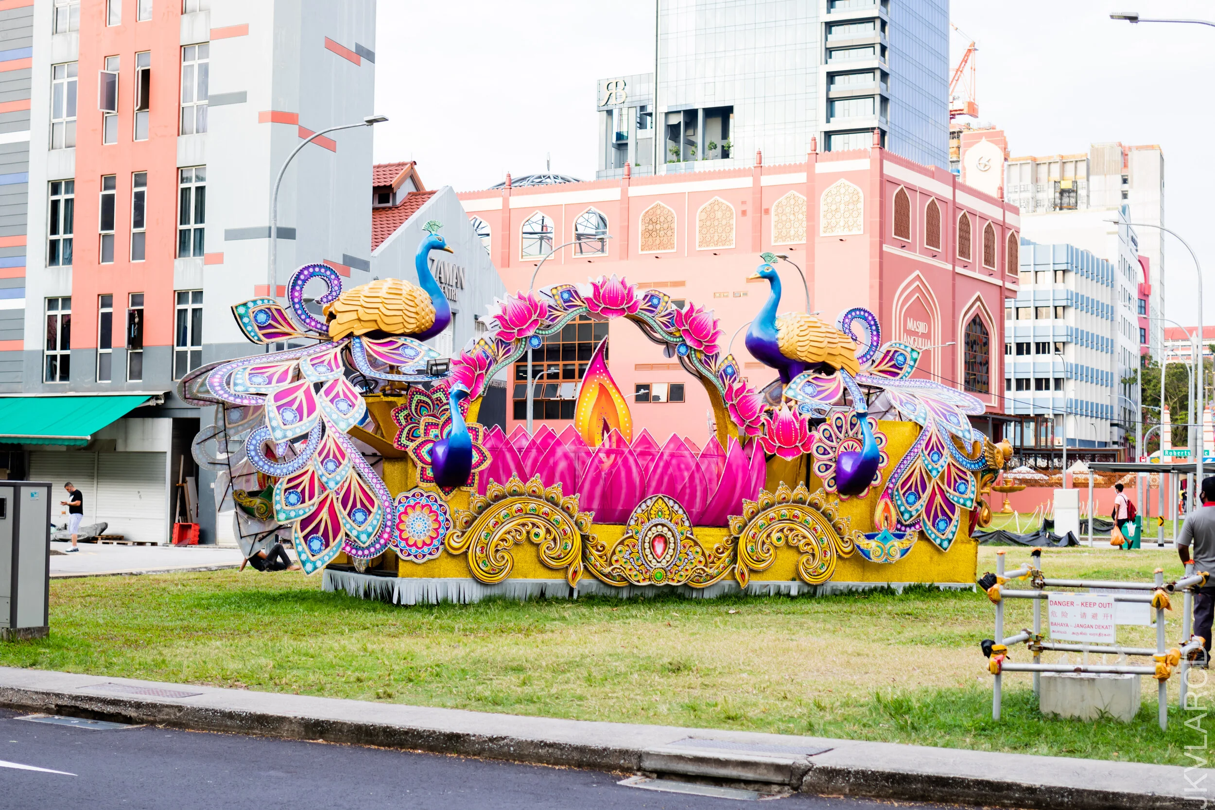 EOS 7D Mark II_2020_11_14_1796.jpg