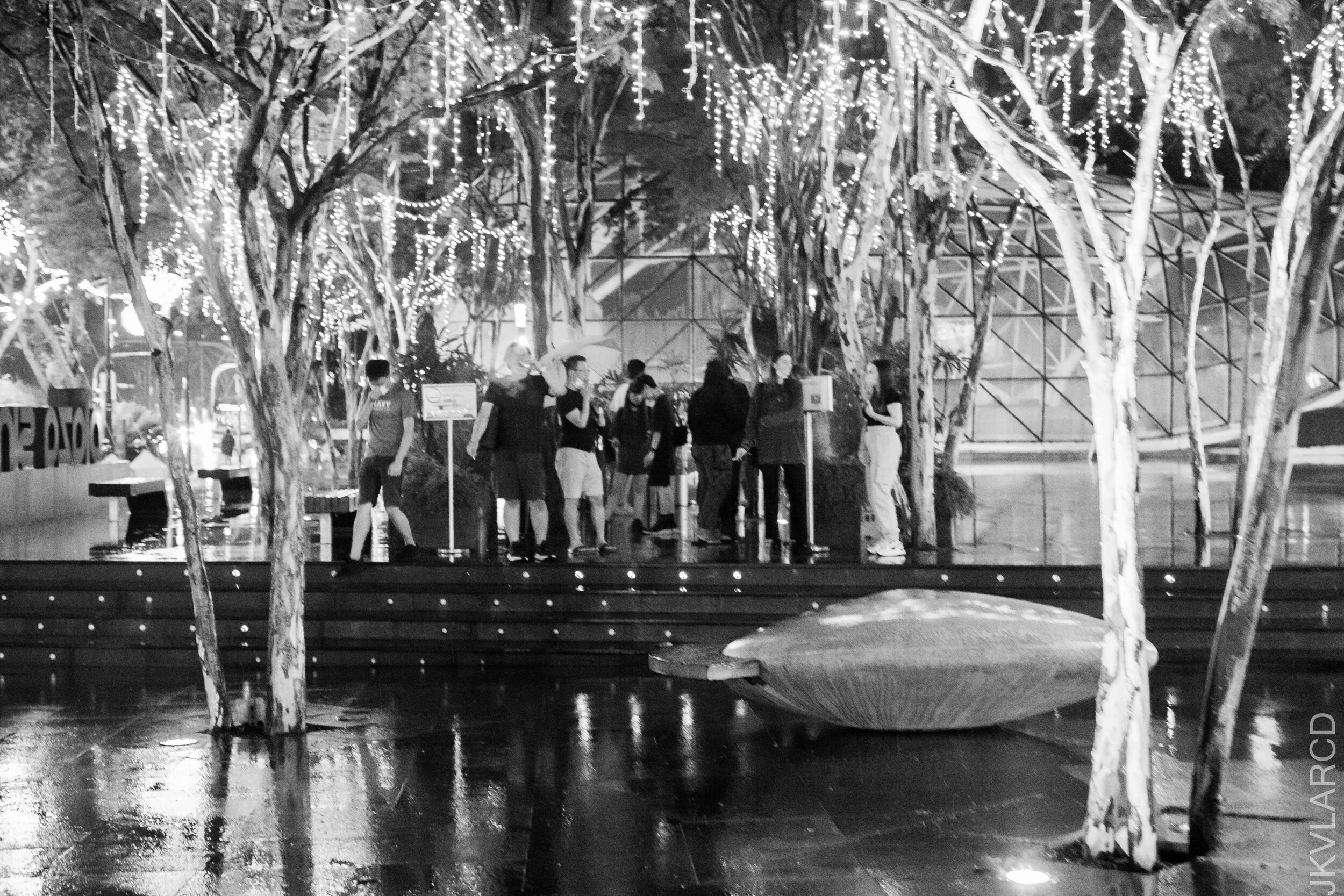 EOS 7D Mark II_2020_11_21_1906.jpg