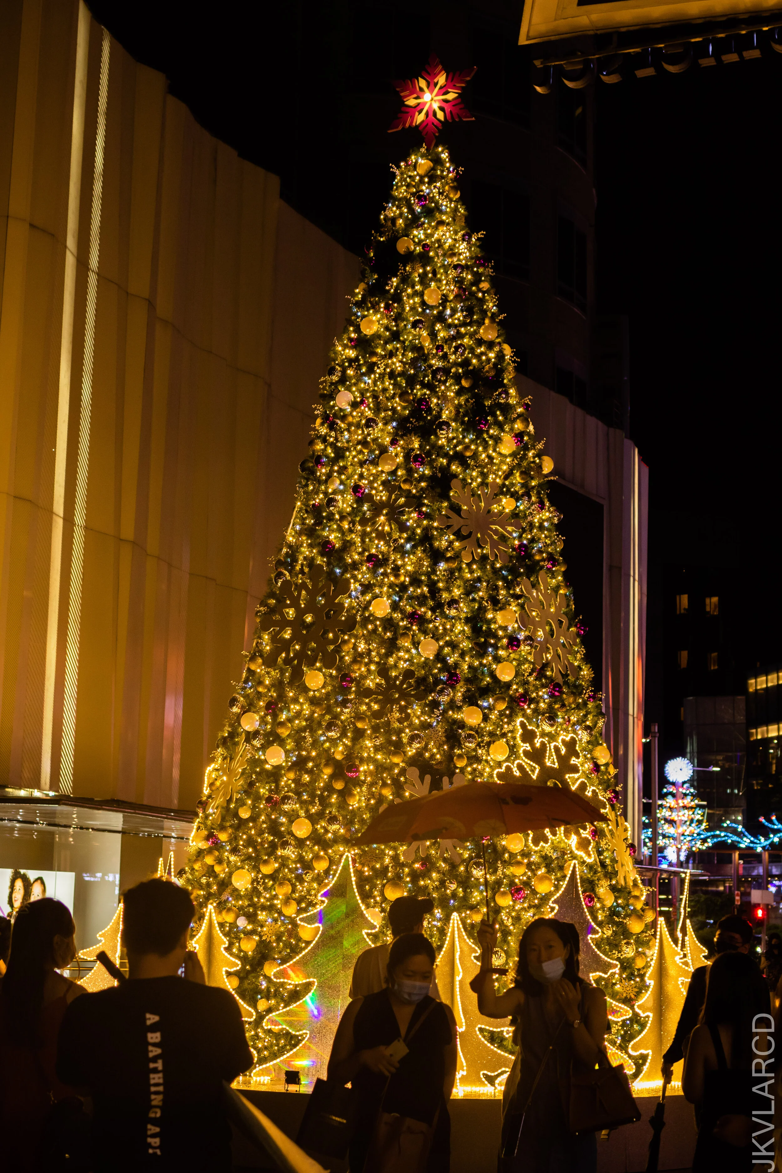 EOS 7D Mark II_2020_11_21_1938.jpg