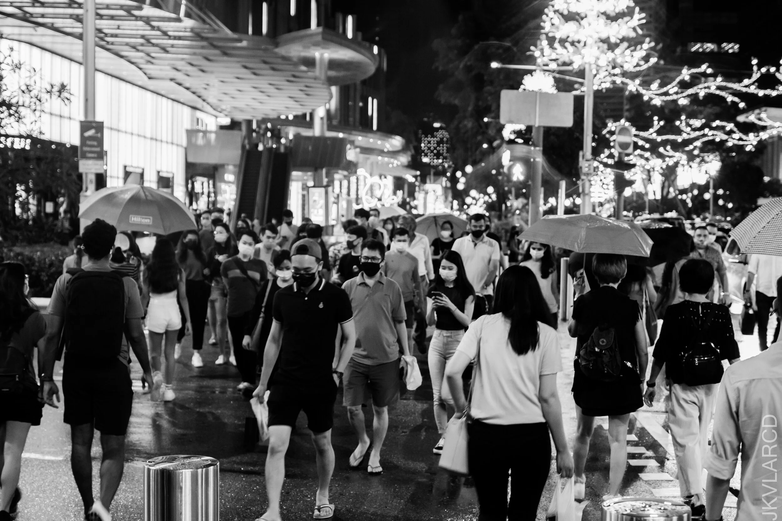 EOS 7D Mark II_2020_11_21_1953.jpg