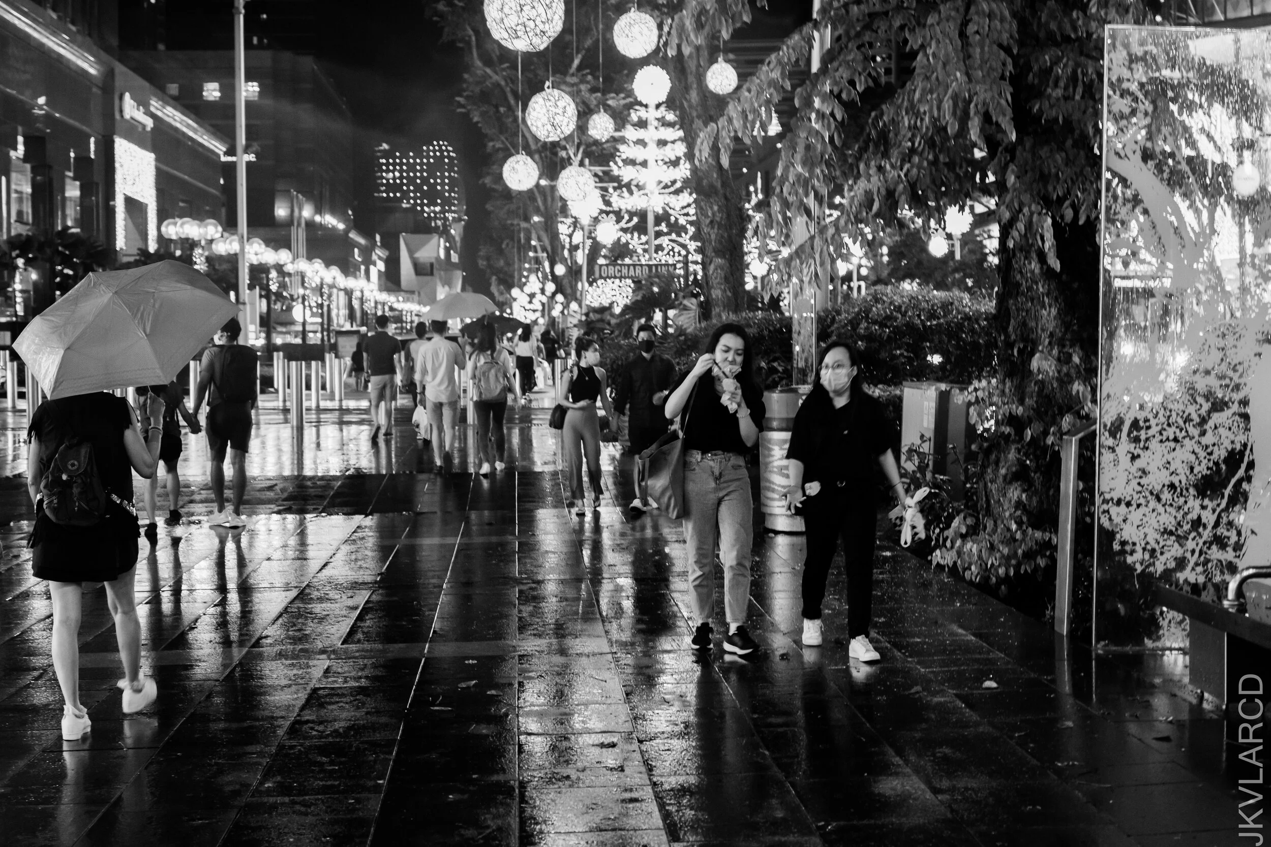 EOS 7D Mark II_2020_11_21_1961.jpg