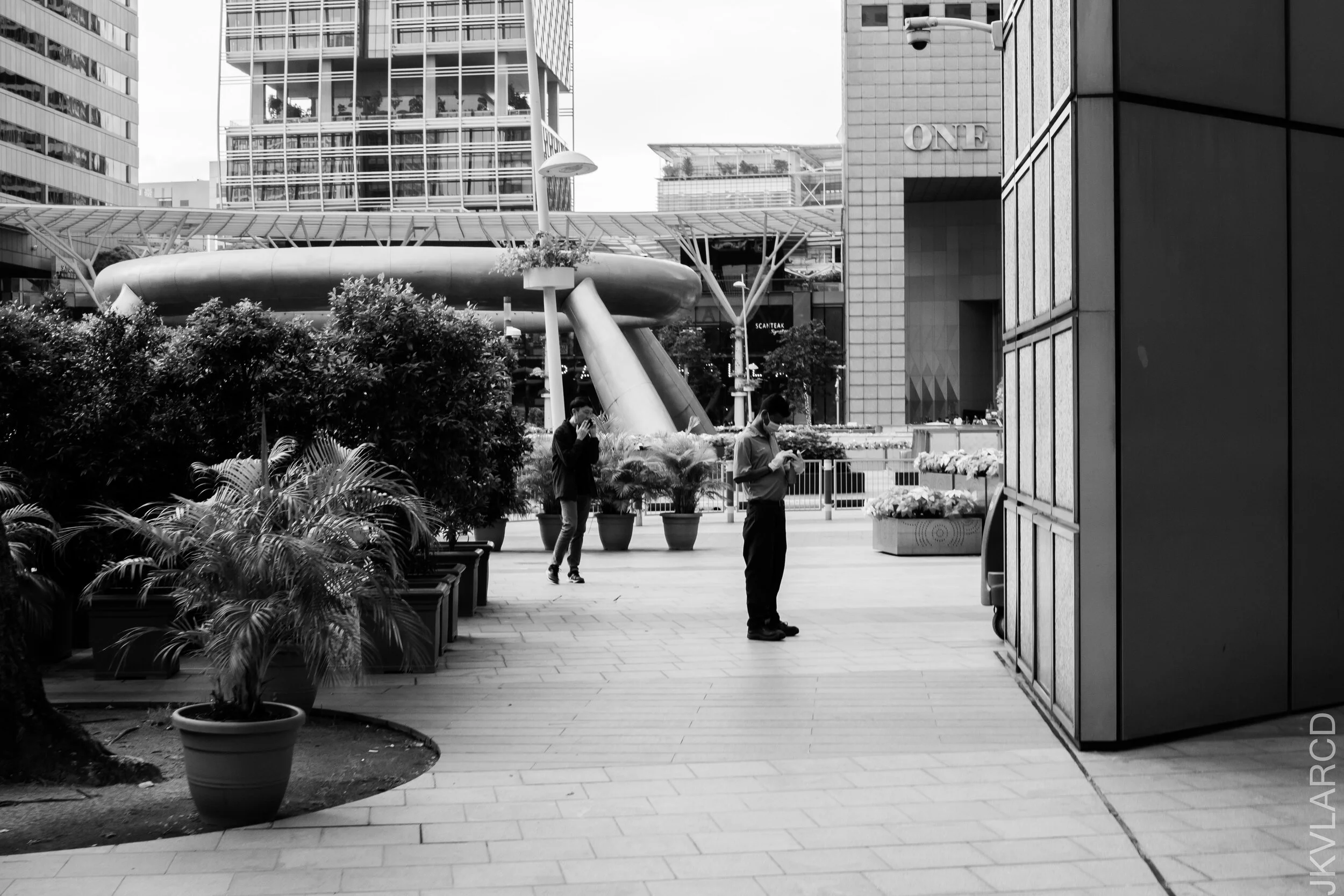 EOS 7D Mark II_2020_12_05_2662.jpg