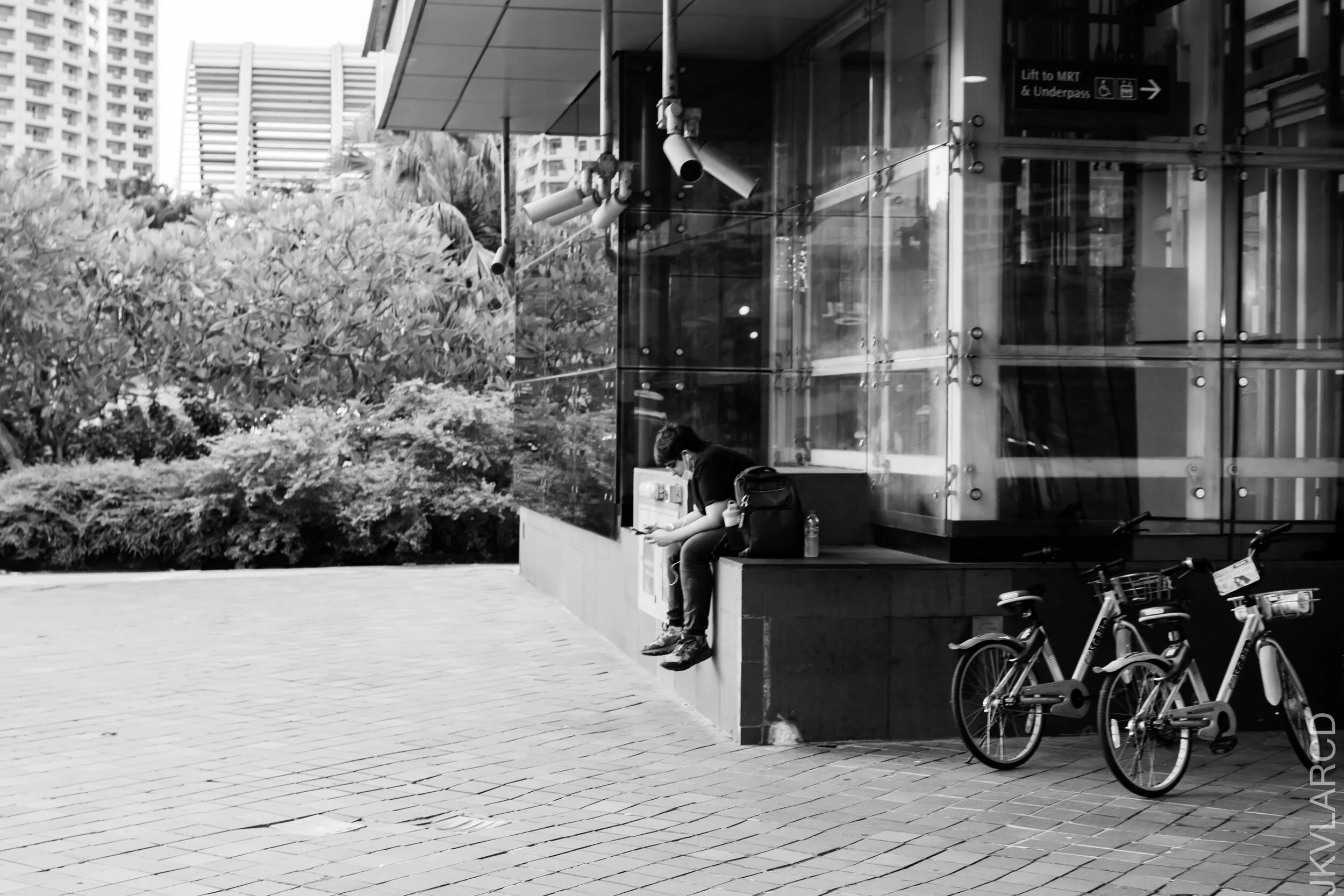 EOS 7D Mark II_2020_12_05_2679.jpg