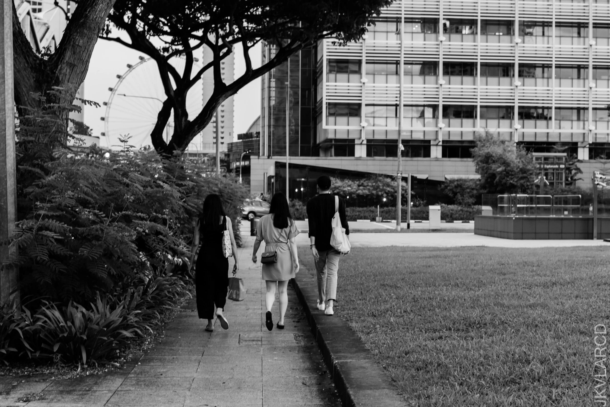 EOS 7D Mark II_2020_12_05_2686.jpg