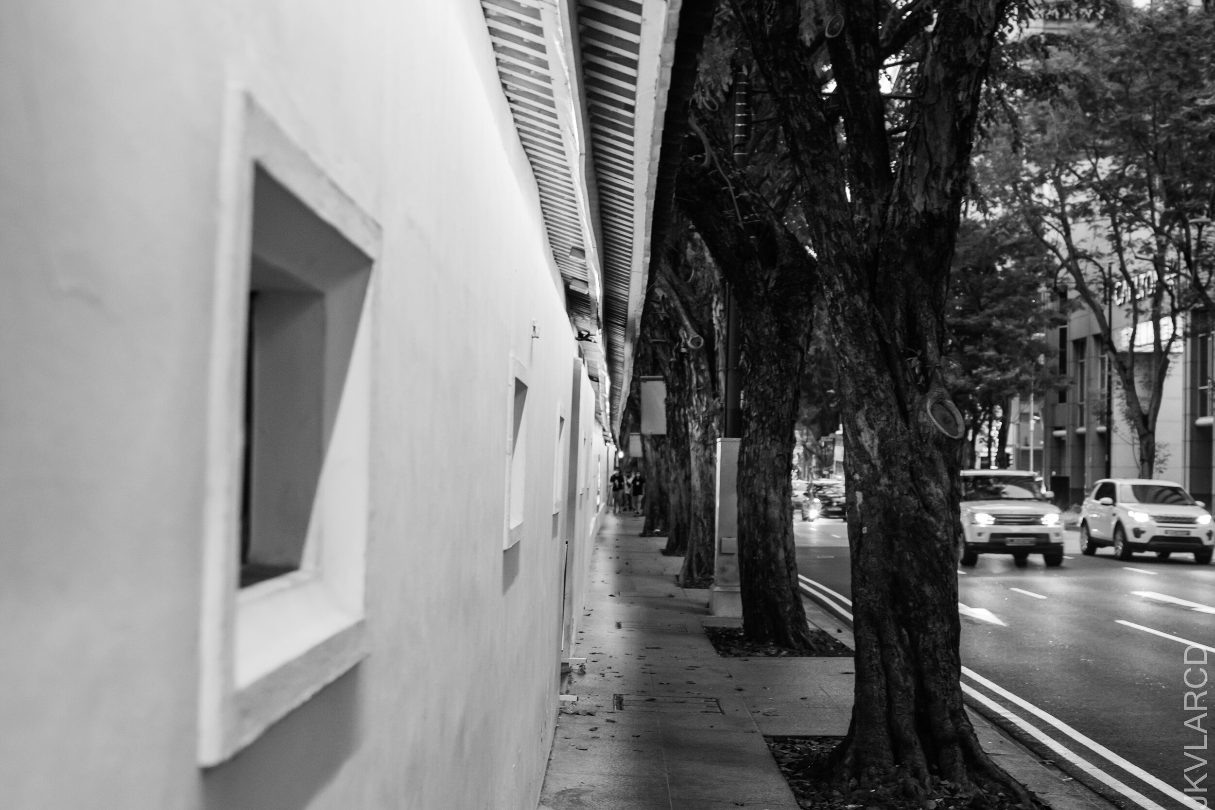 EOS 7D Mark II_2020_12_05_2701.jpg